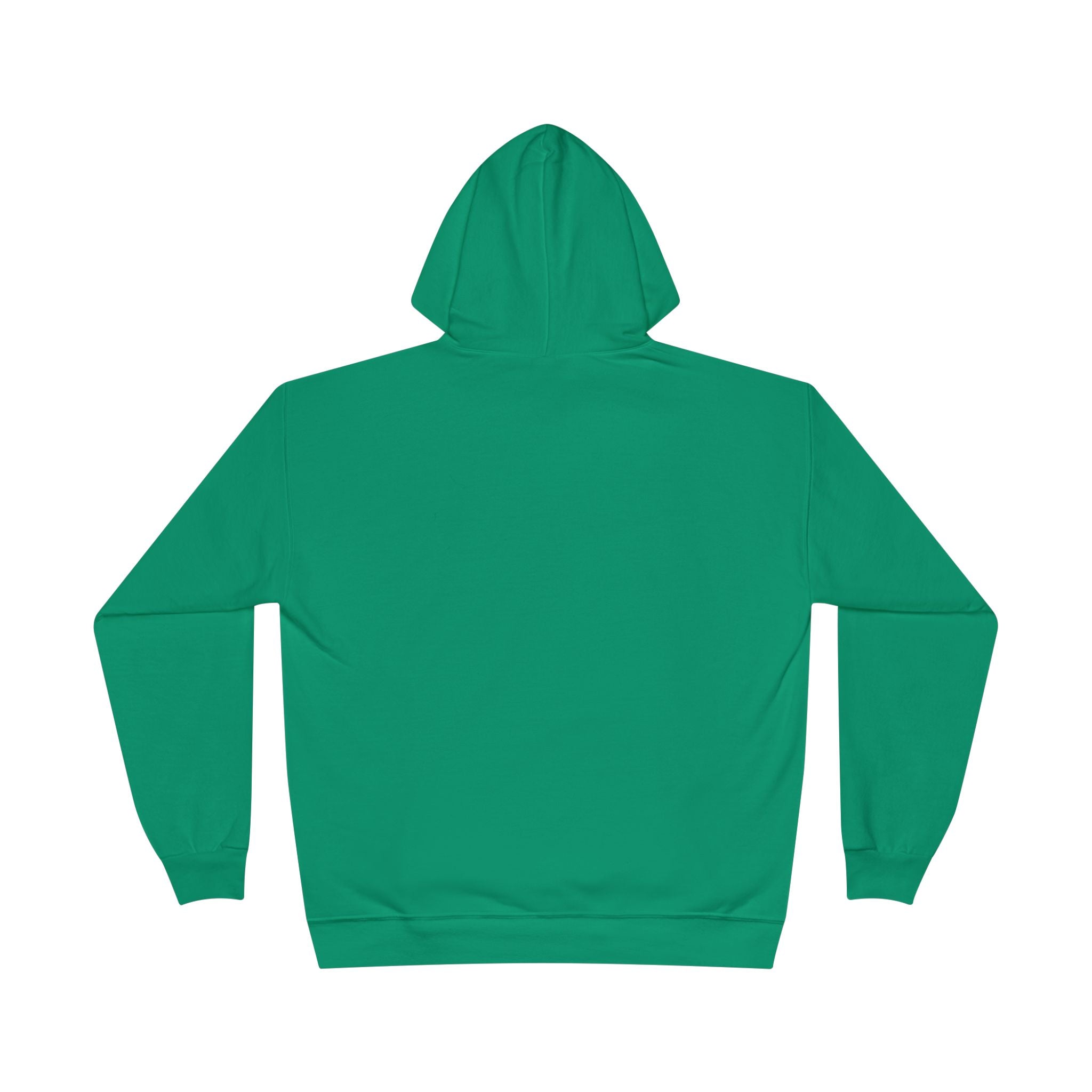 I Am Not A Reptilian Shape Shifter Hoodie – Statement Graphic Pullover