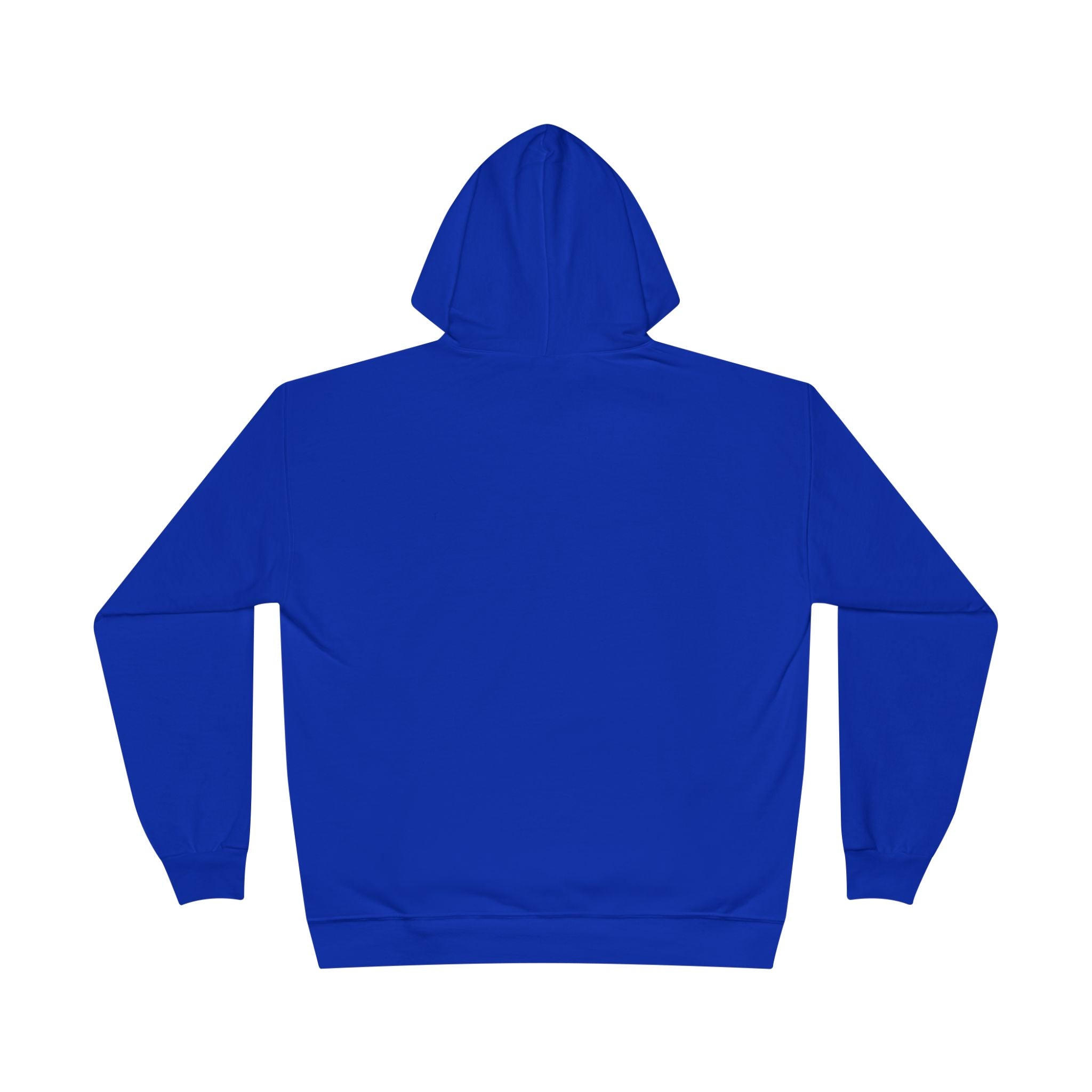 I Am Not A Reptilian Shape Shifter Hoodie – Statement Graphic Pullover