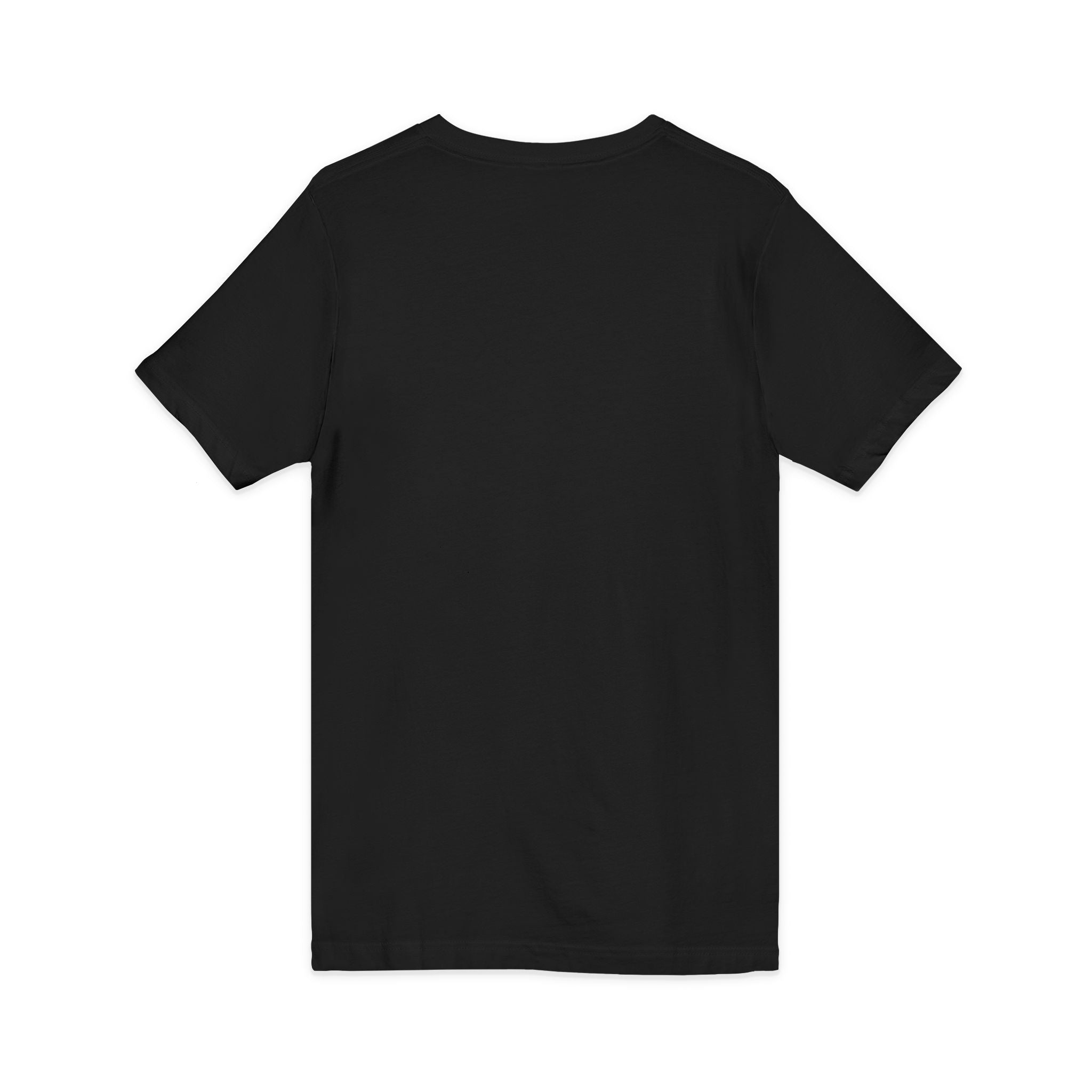 Frog Meditation V-Neck Tee – "Be Still and Know" Relaxing Frog Graphic Shirt