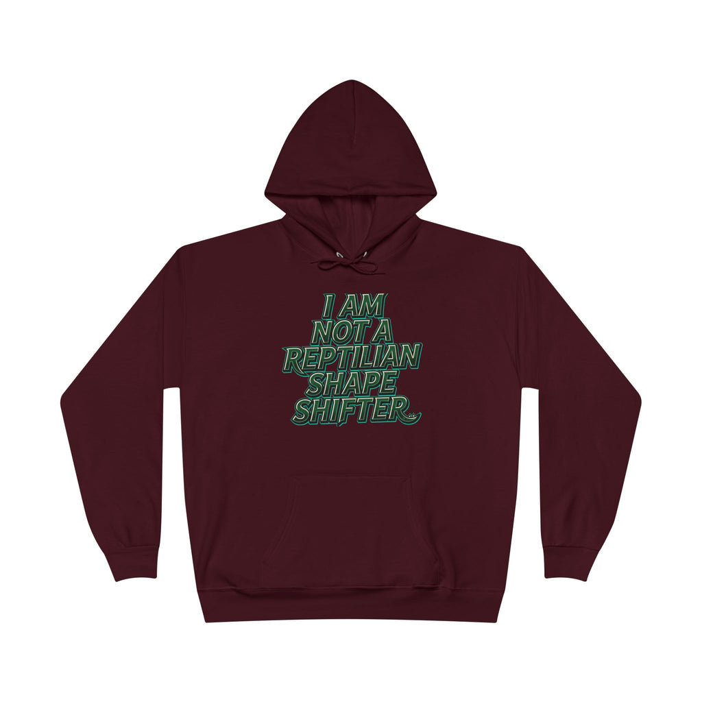 I Am Not A Reptilian Shape Shifter Hoodie – Statement Graphic Pullover