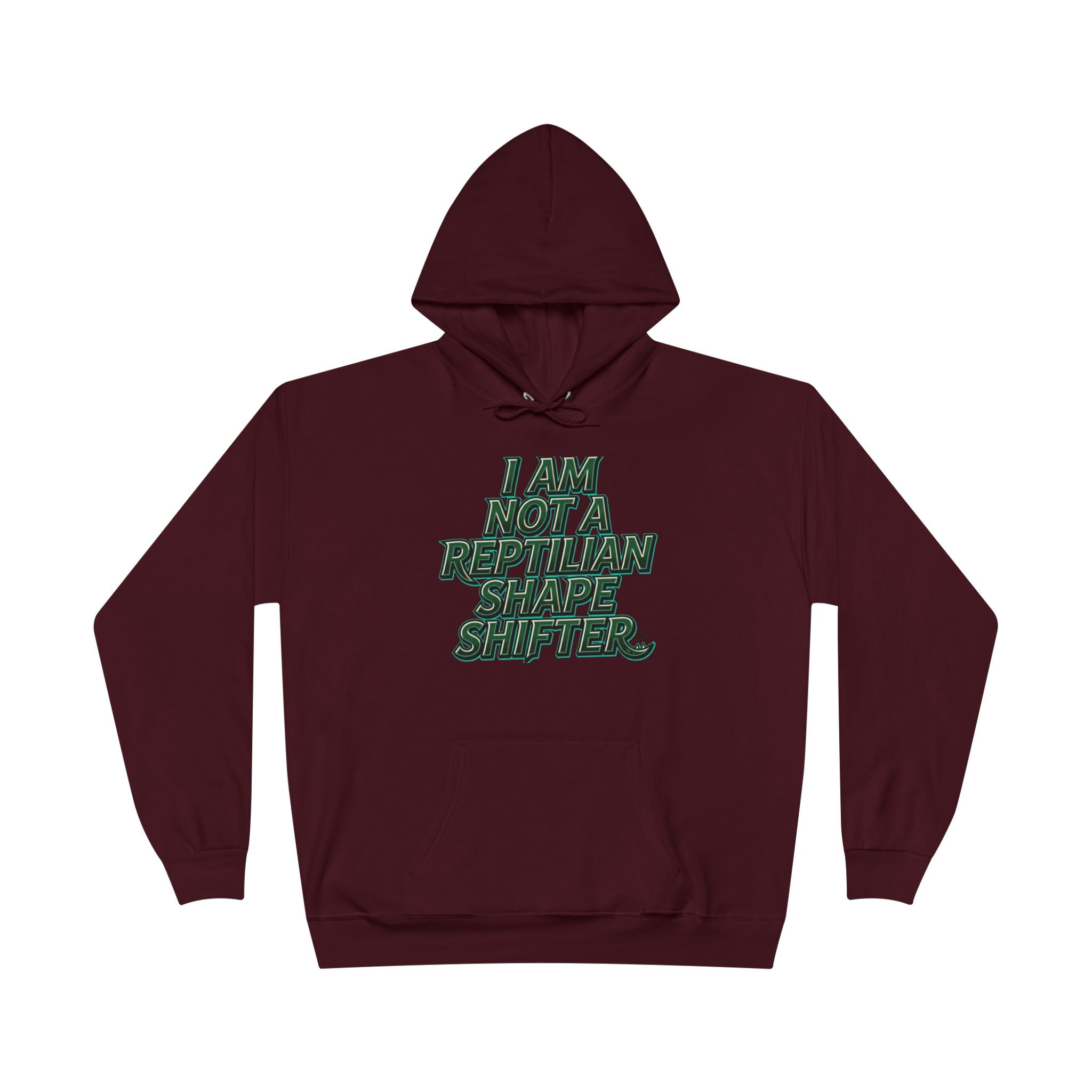 I Am Not A Reptilian Shape Shifter Hoodie – Statement Graphic Pullover