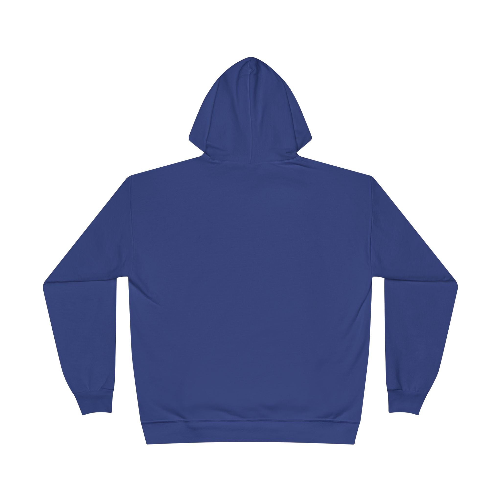 I Am Not A Reptilian Shape Shifter Hoodie – Statement Graphic Pullover