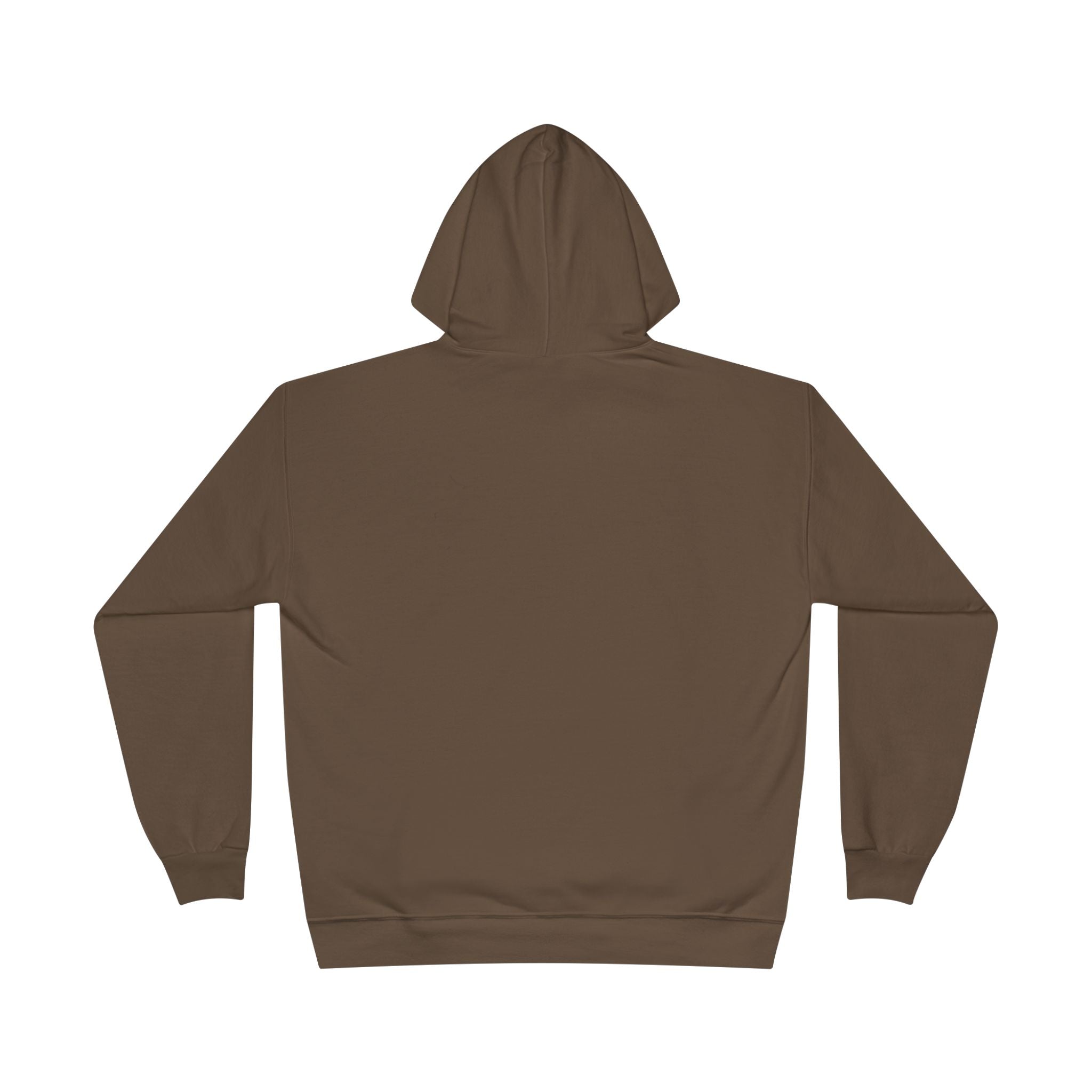 I Am Not A Reptilian Shape Shifter Hoodie – Statement Graphic Pullover
