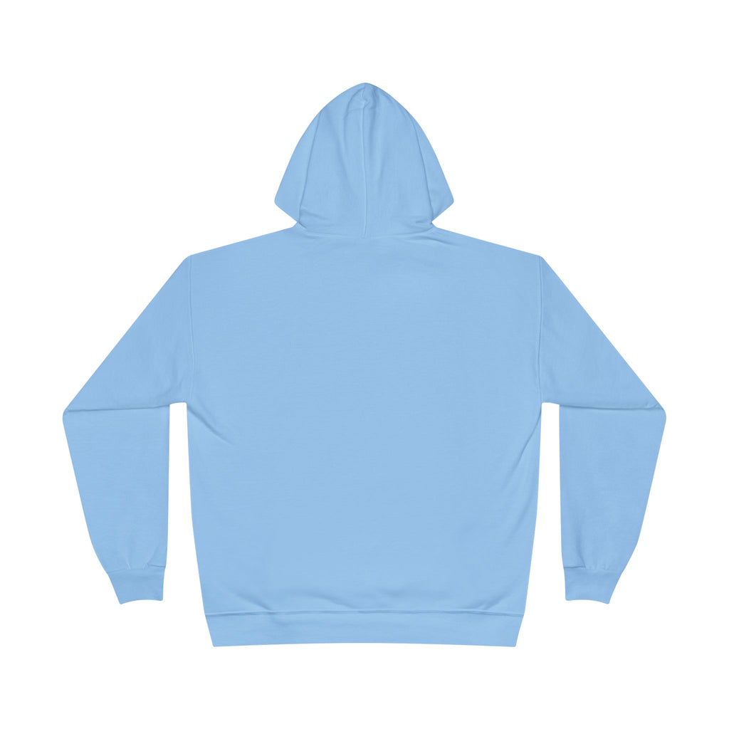 I Am Not A Reptilian Shape Shifter Hoodie – Statement Graphic Pullover