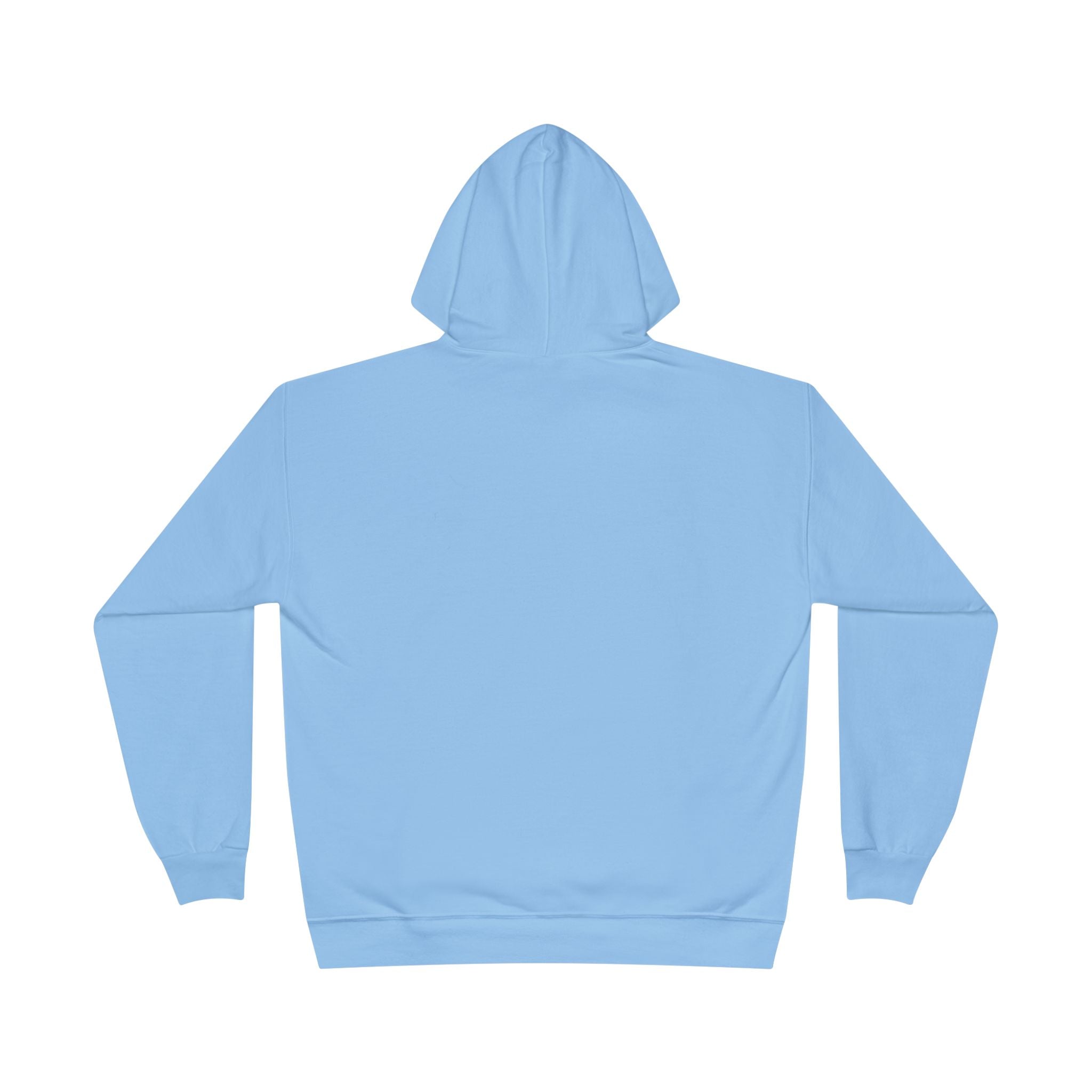 I Am Not A Reptilian Shape Shifter Hoodie – Statement Graphic Pullover