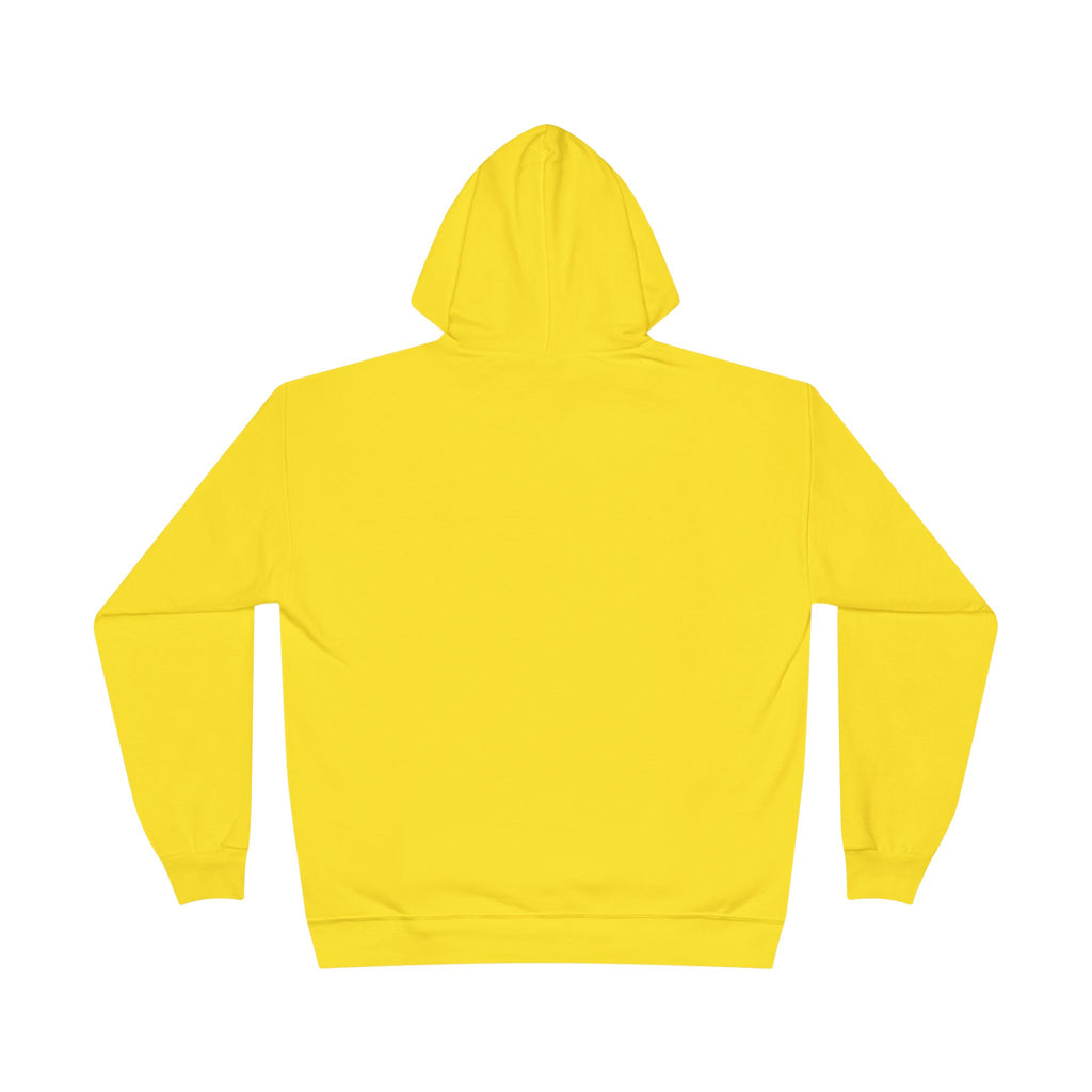 I Am Not A Reptilian Shape Shifter Hoodie – Statement Graphic Pullover