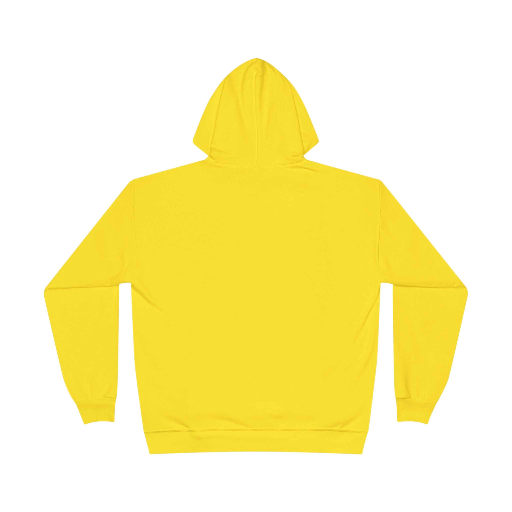I Am Not A Reptilian Shape Shifter Hoodie – Statement Graphic Pullover