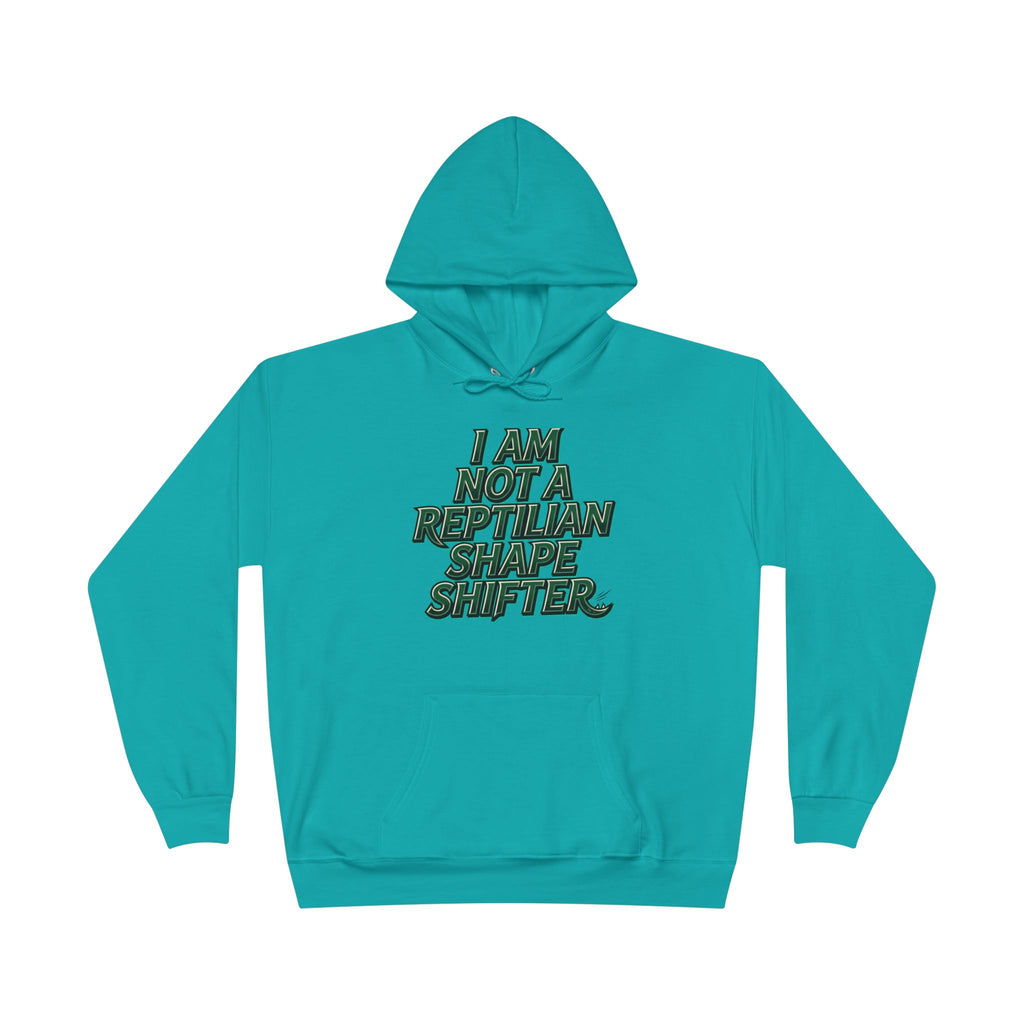 I Am Not A Reptilian Shape Shifter Hoodie – Statement Graphic Pullover