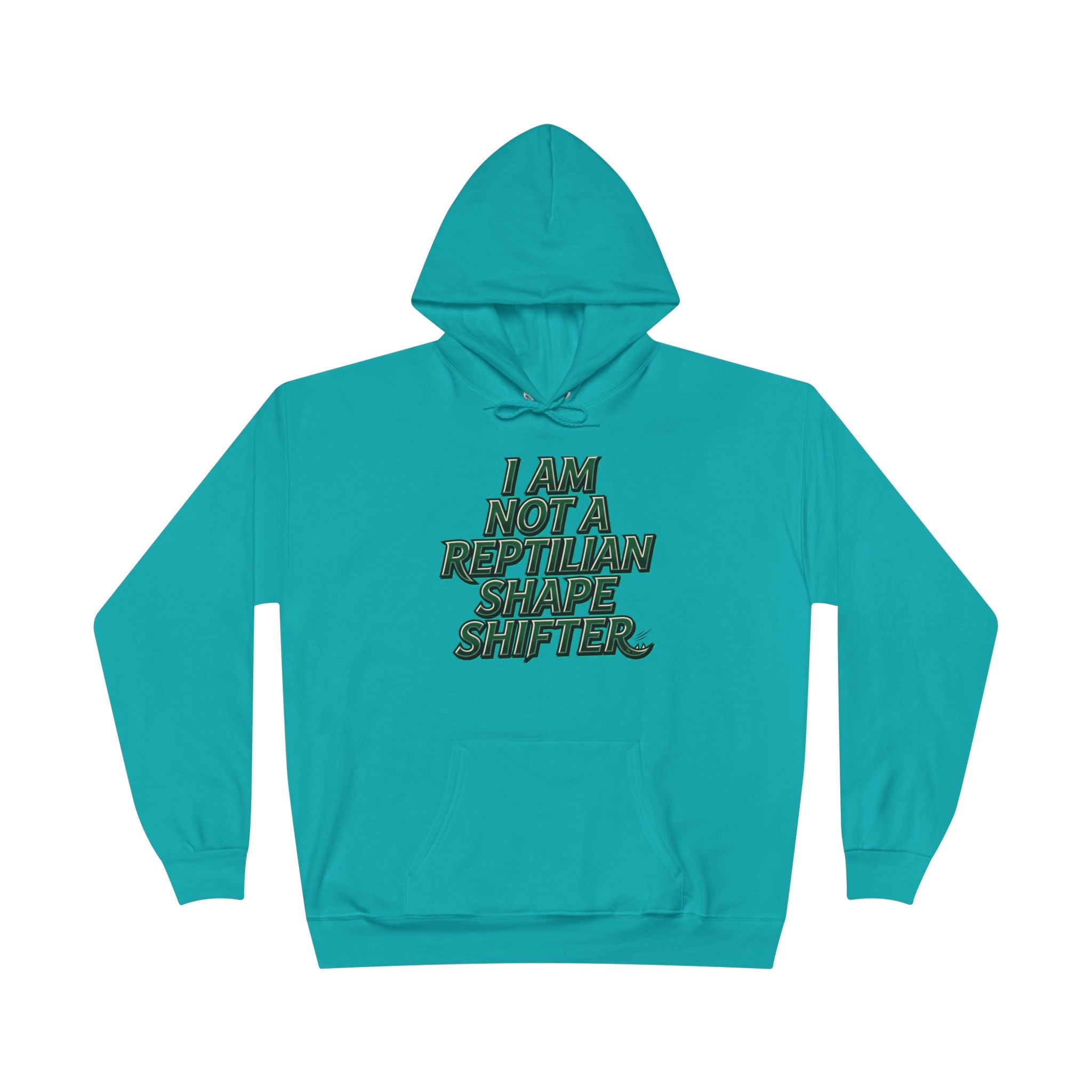 I Am Not A Reptilian Shape Shifter Hoodie – Statement Graphic Pullover