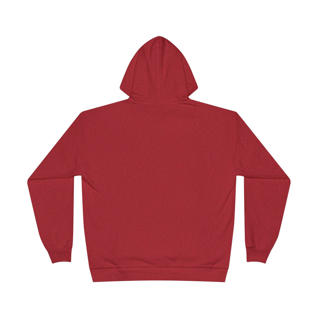 I Am Not A Reptilian Shape Shifter Hoodie – Statement Graphic Pullover
