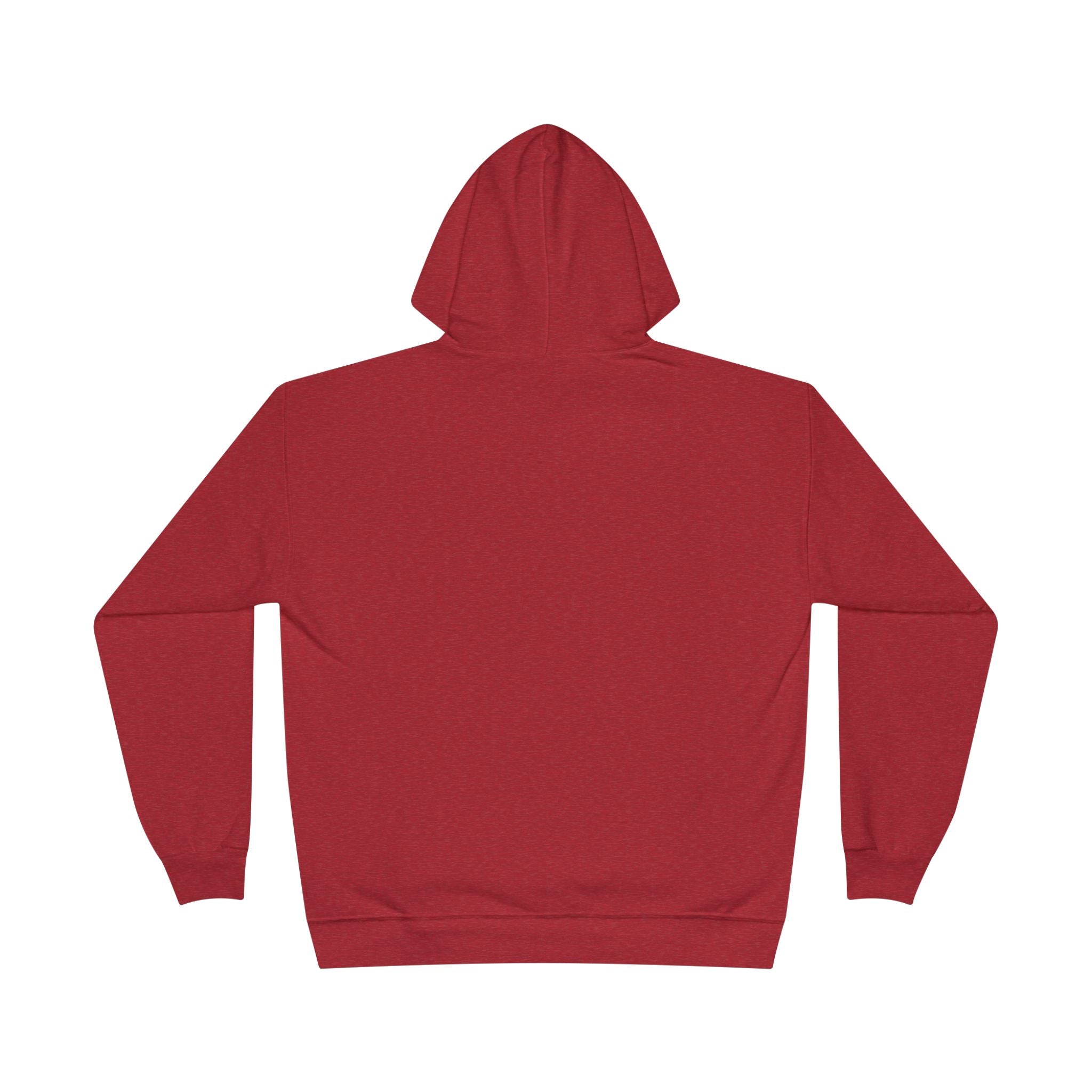 I Am Not A Reptilian Shape Shifter Hoodie – Statement Graphic Pullover