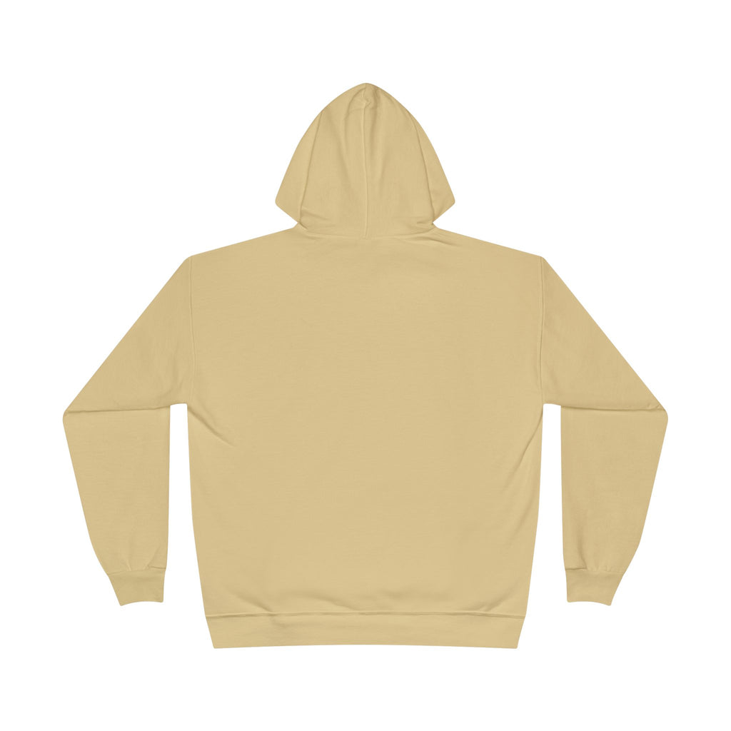 I Am Not A Reptilian Shape Shifter Hoodie – Statement Graphic Pullover