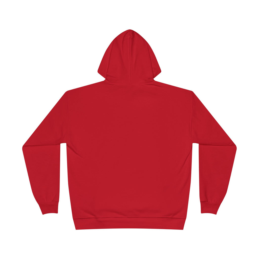 I Am Not A Reptilian Shape Shifter Hoodie – Statement Graphic Pullover