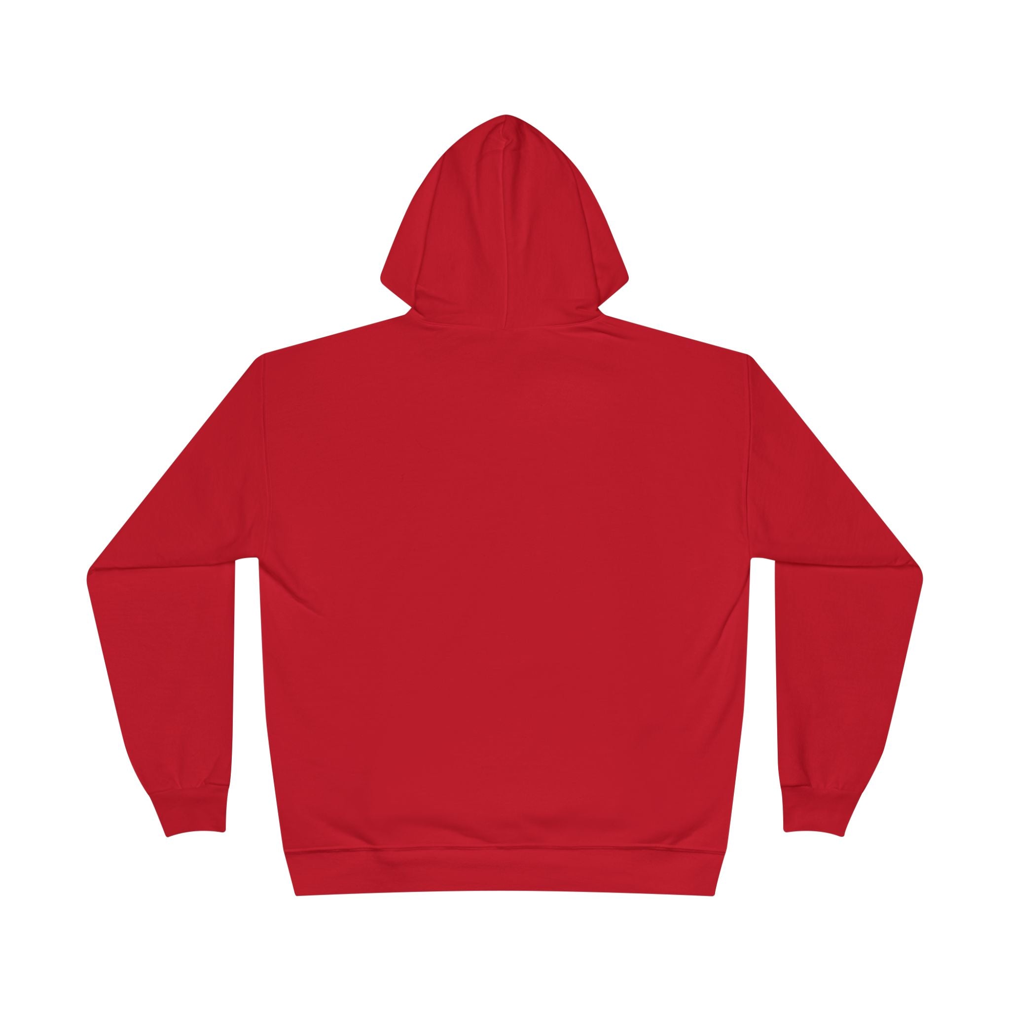 I Am Not A Reptilian Shape Shifter Hoodie – Statement Graphic Pullover