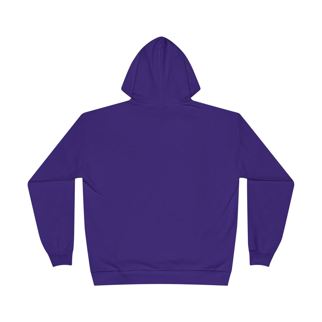 I Am Not A Reptilian Shape Shifter Hoodie – Statement Graphic Pullover