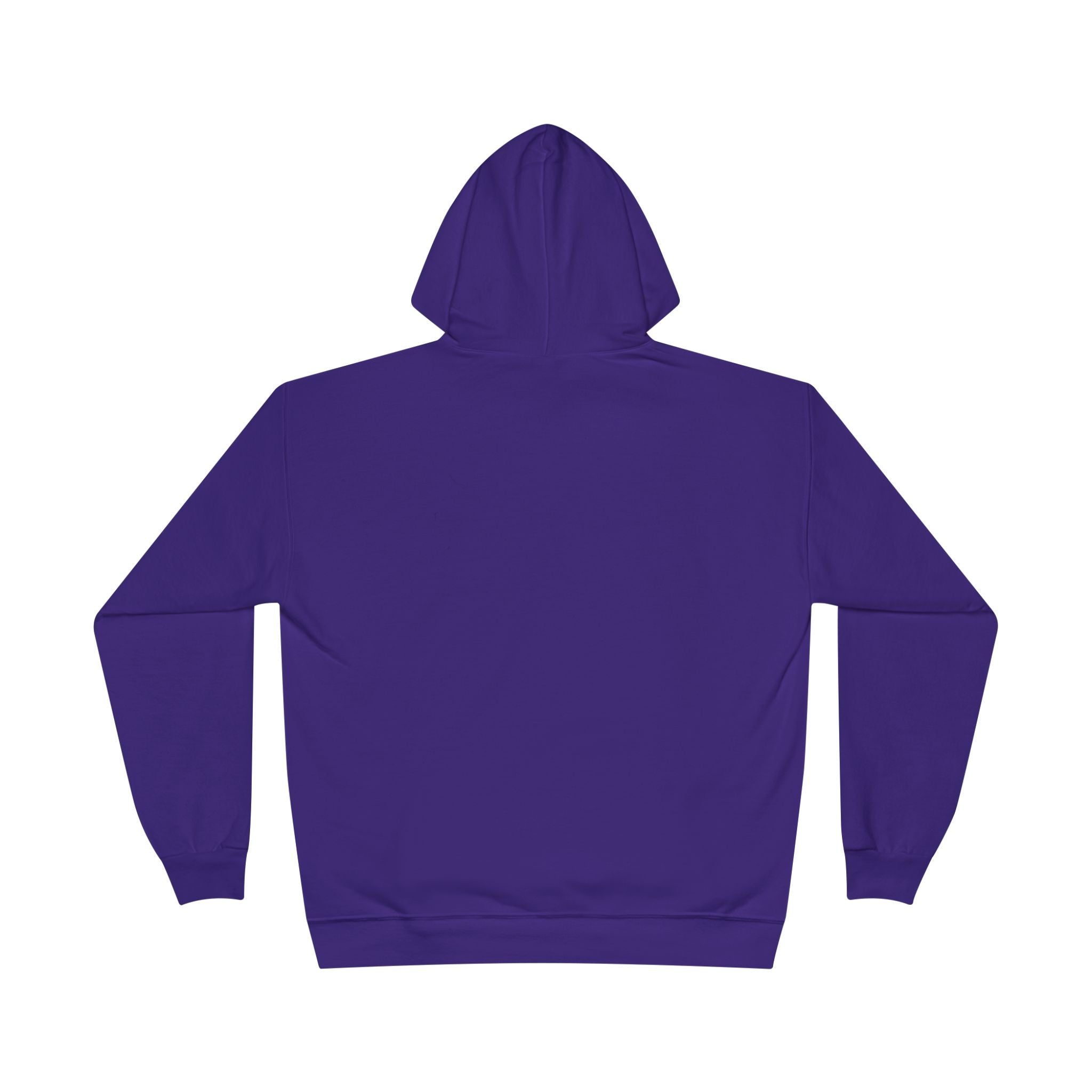 I Am Not A Reptilian Shape Shifter Hoodie – Statement Graphic Pullover
