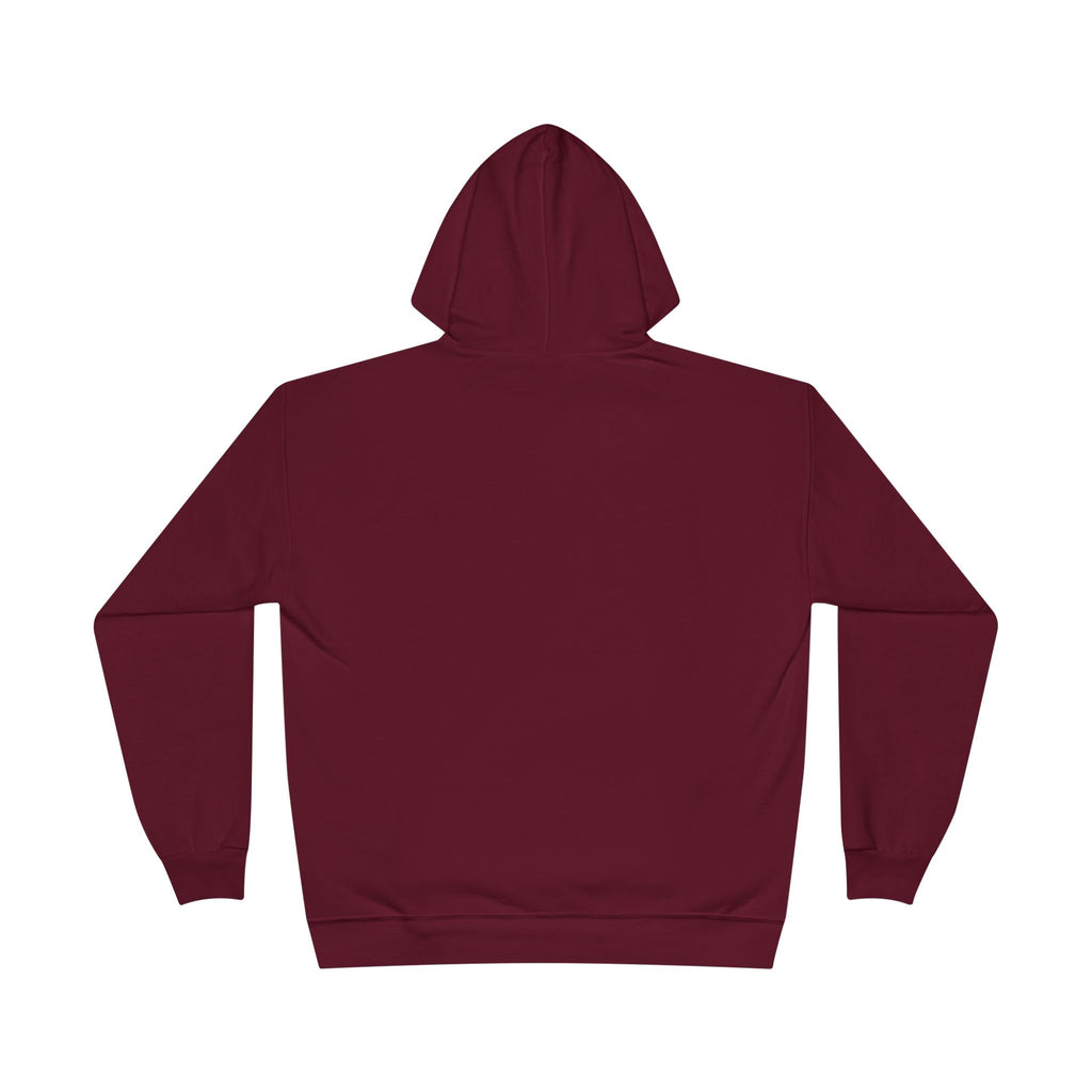 I Am Not A Reptilian Shape Shifter Hoodie – Statement Graphic Pullover