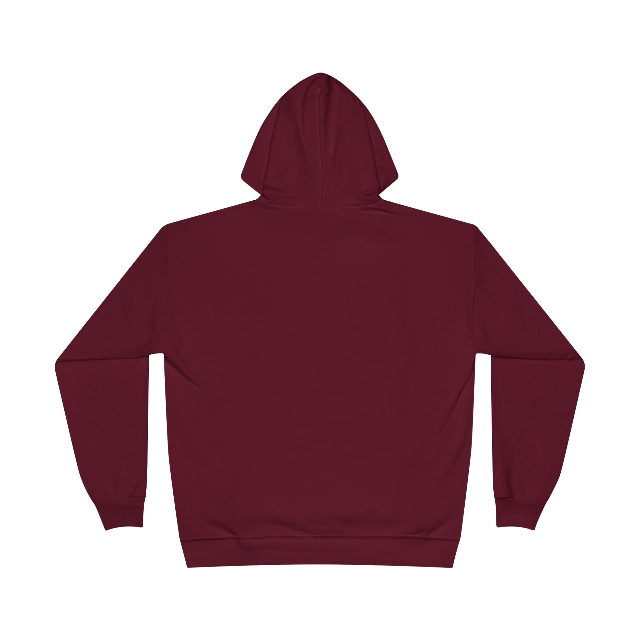 I Am Not A Reptilian Shape Shifter Hoodie – Statement Graphic Pullover