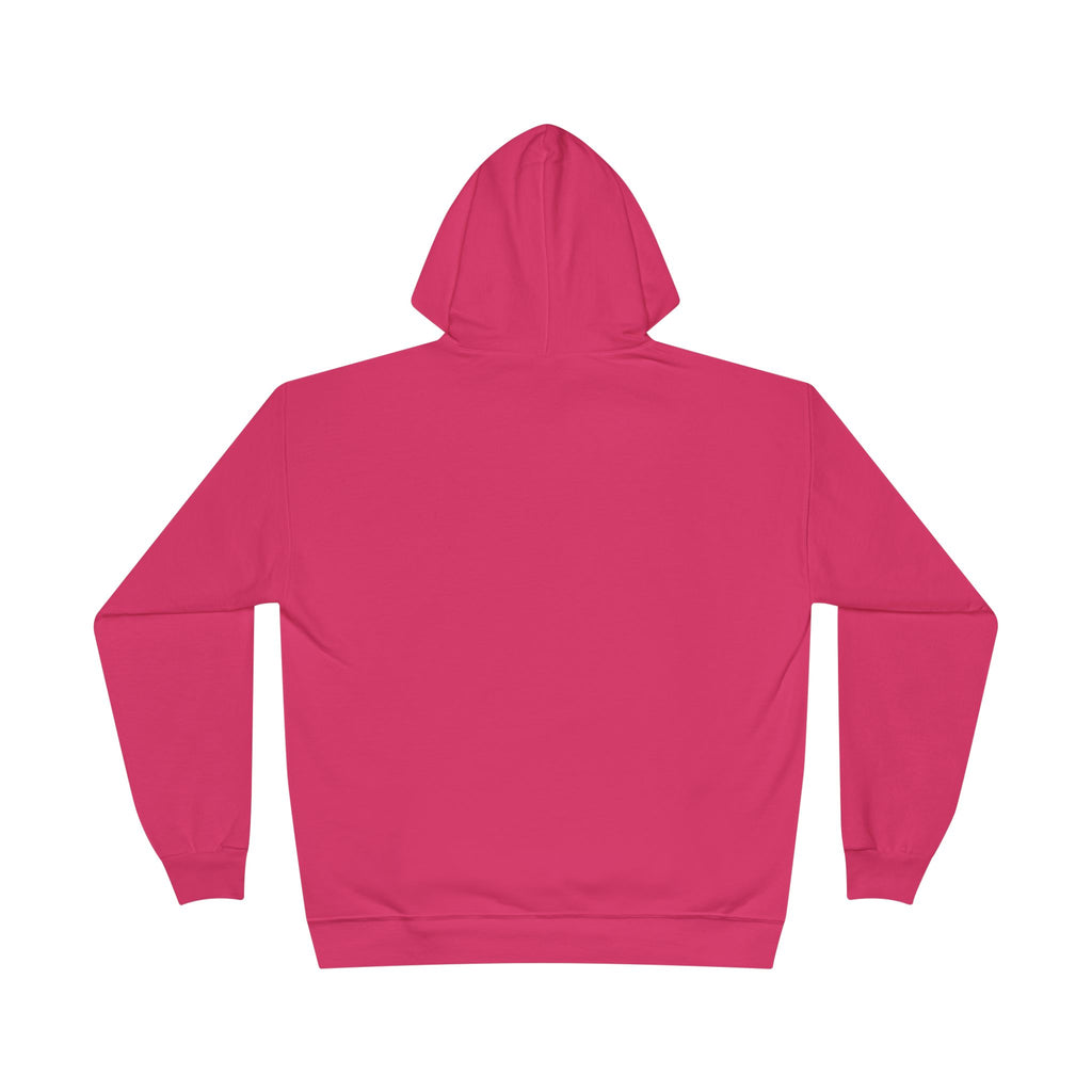 I Am Not A Reptilian Shape Shifter Hoodie – Statement Graphic Pullover