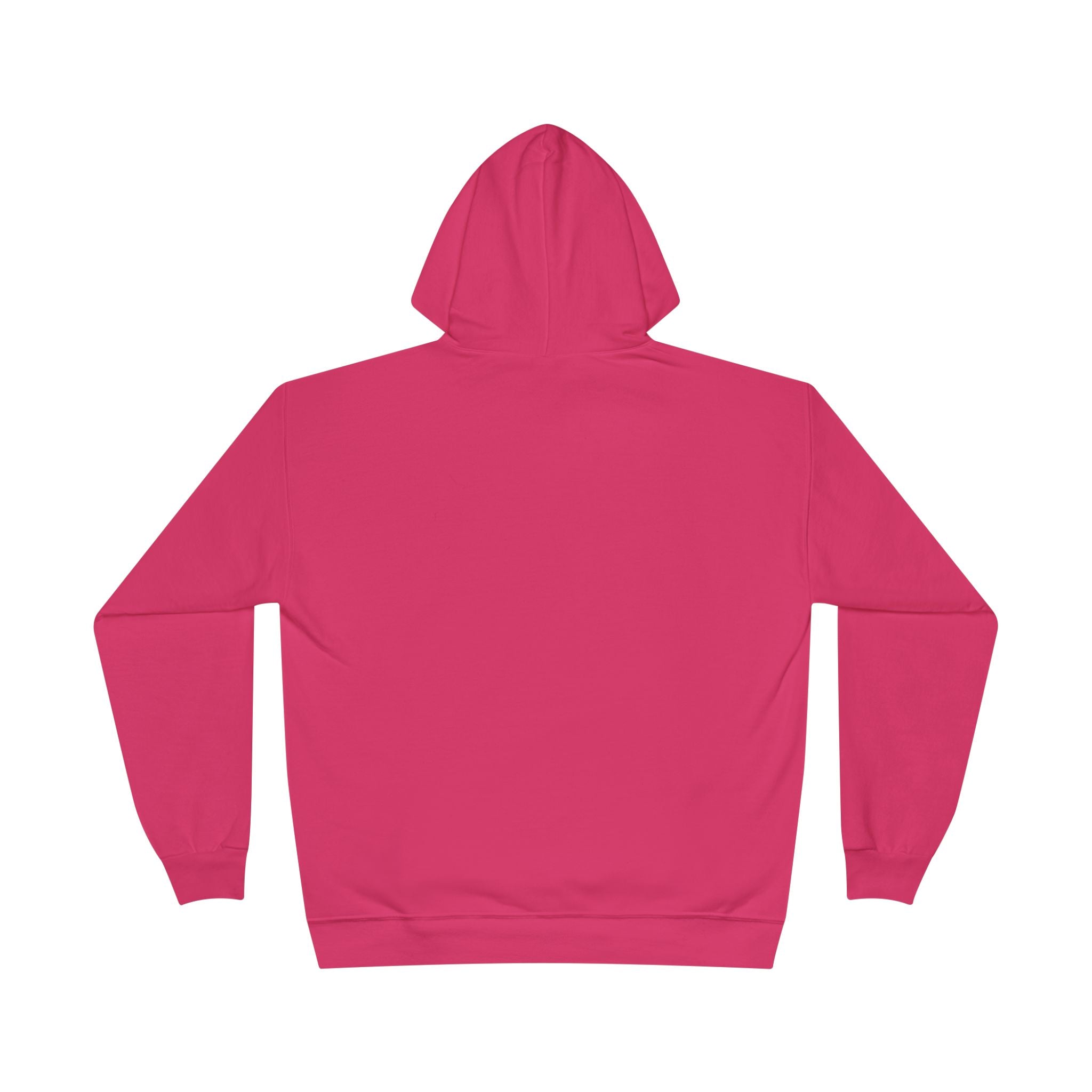 I Am Not A Reptilian Shape Shifter Hoodie – Statement Graphic Pullover