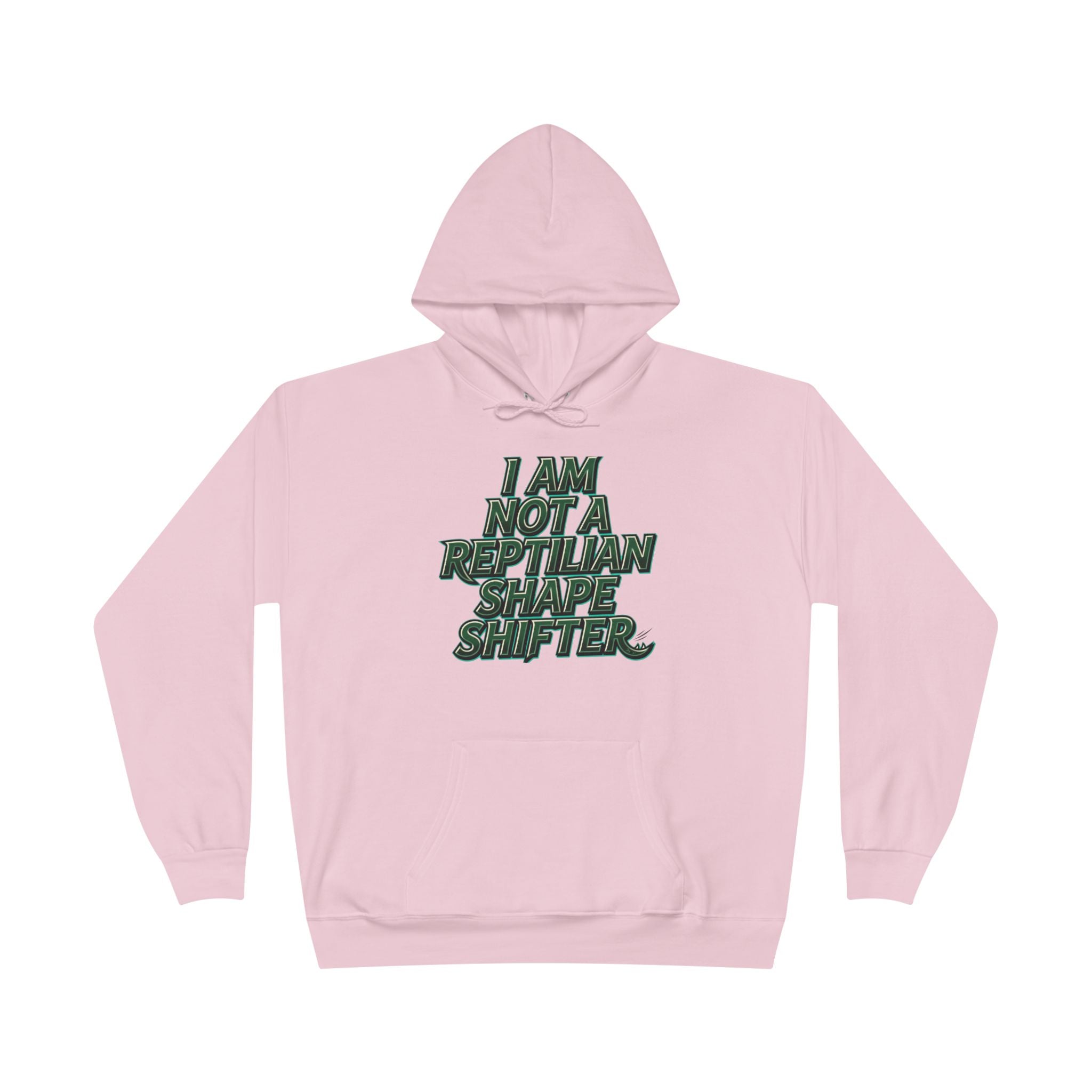 I Am Not A Reptilian Shape Shifter Hoodie – Statement Graphic Pullover