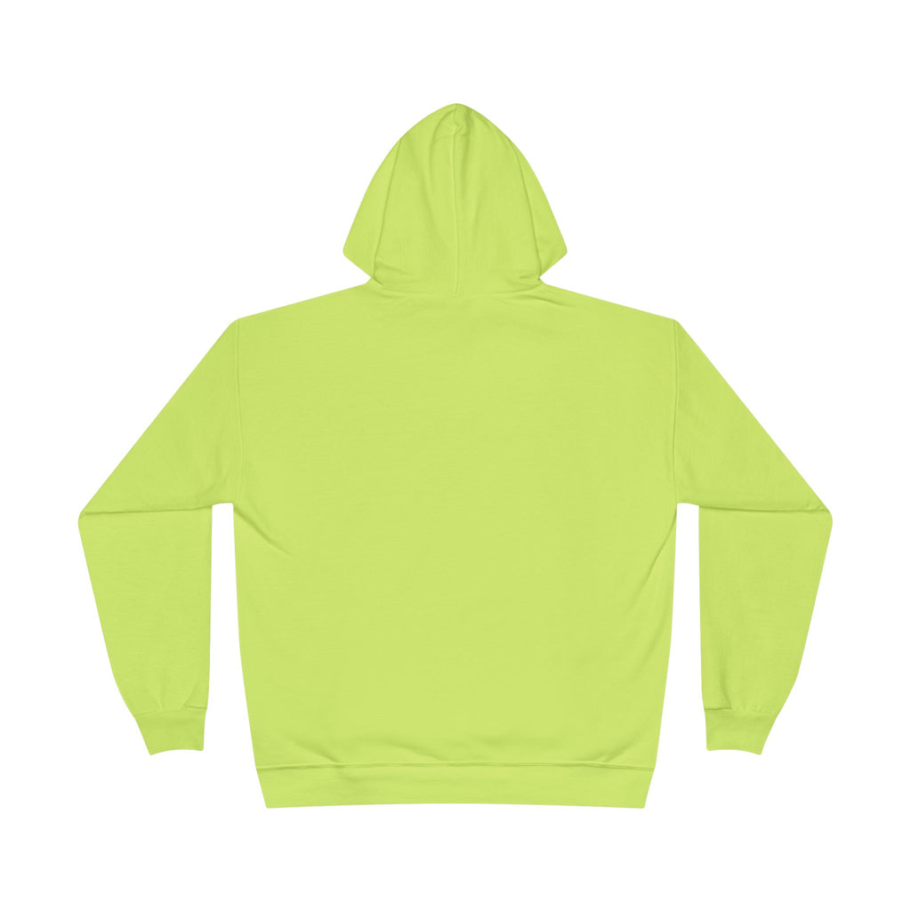 I Am Not A Reptilian Shape Shifter Hoodie – Statement Graphic Pullover