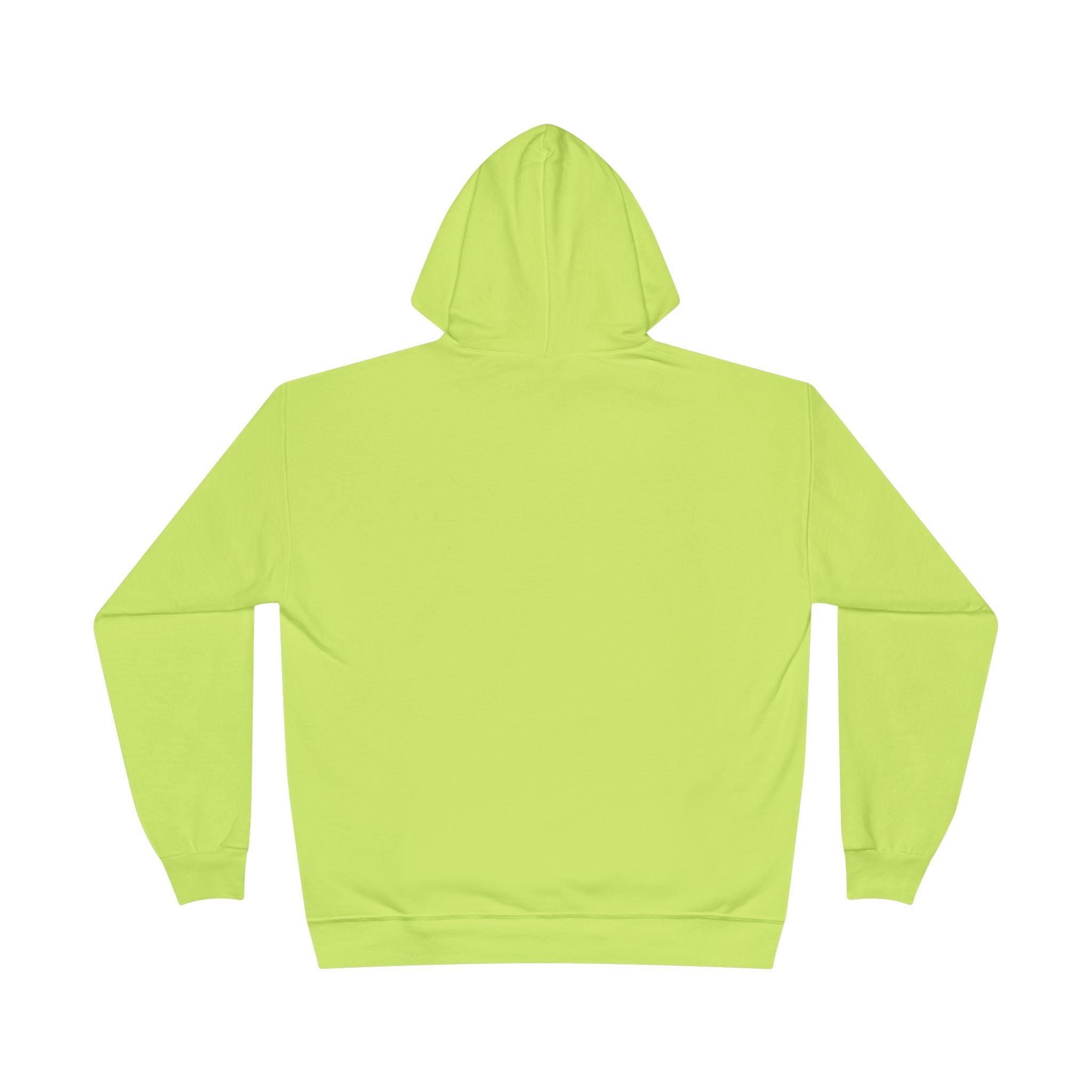 I Am Not A Reptilian Shape Shifter Hoodie – Statement Graphic Pullover