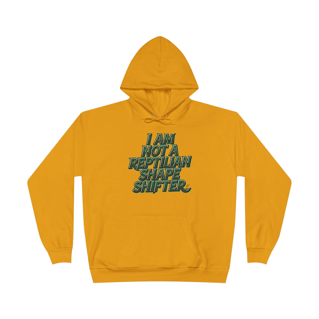 I Am Not A Reptilian Shape Shifter Hoodie – Statement Graphic Pullover