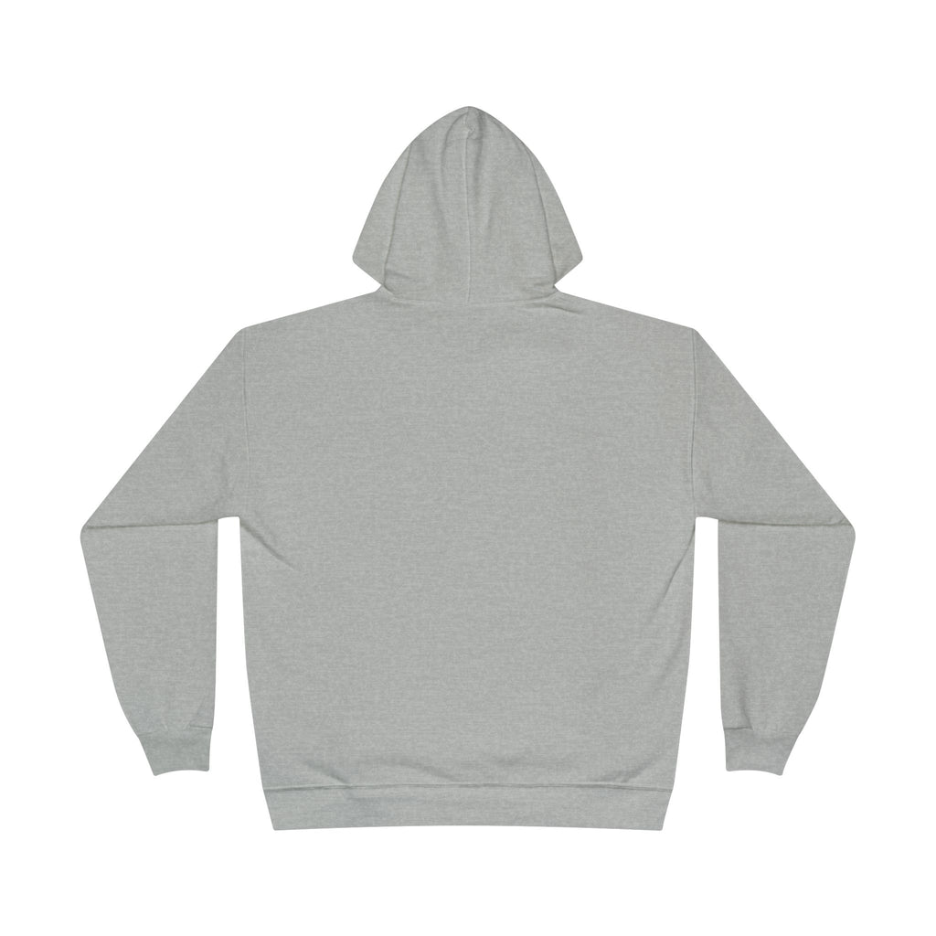 I Am Not A Reptilian Shape Shifter Hoodie – Statement Graphic Pullover