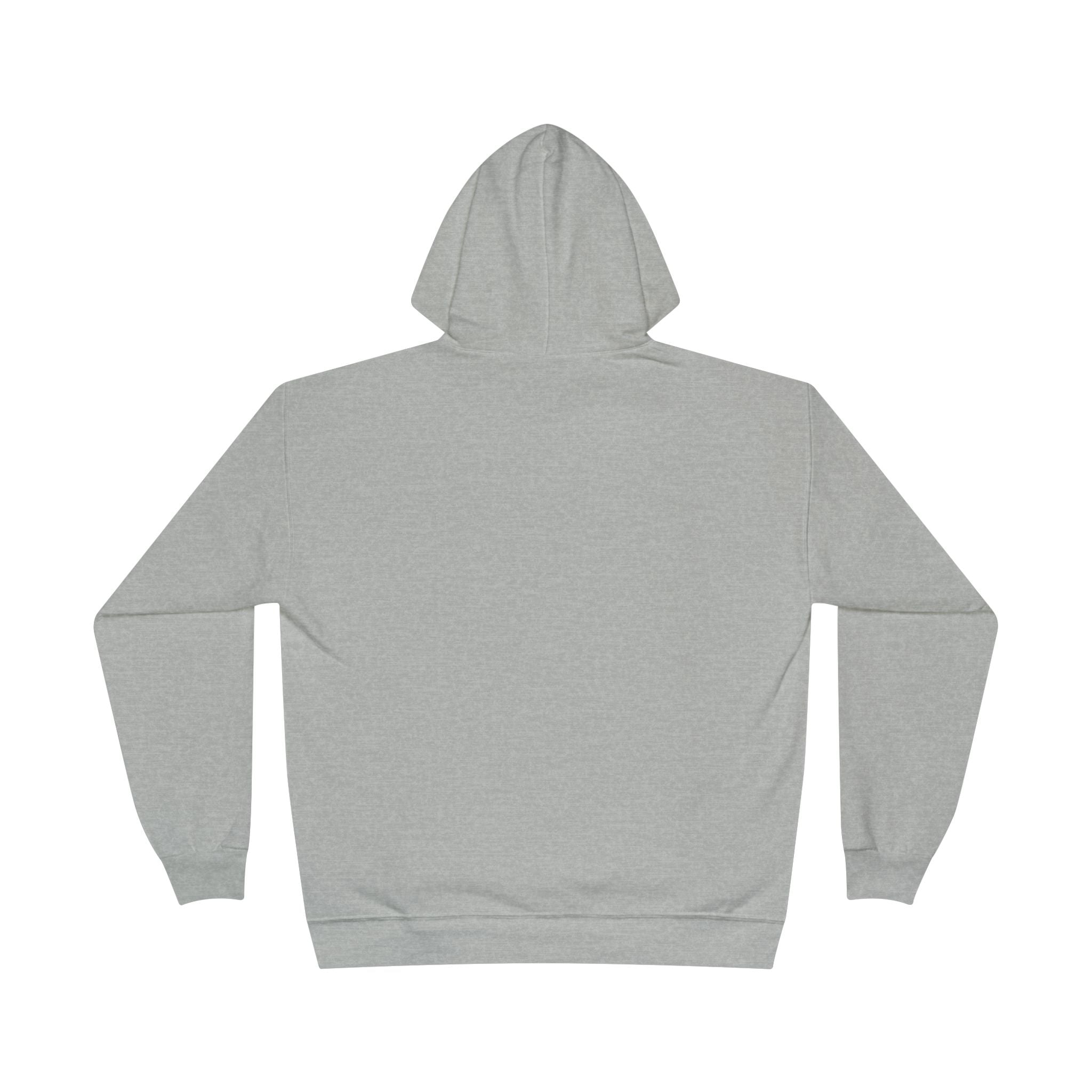 I Am Not A Reptilian Shape Shifter Hoodie – Statement Graphic Pullover