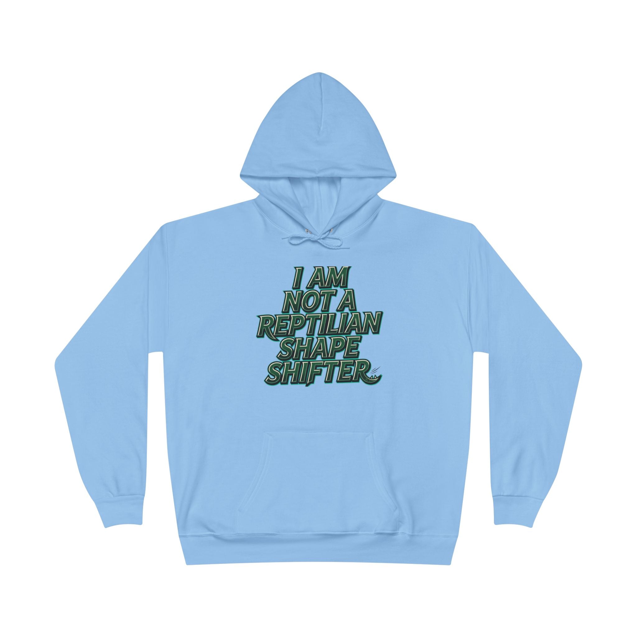 I Am Not A Reptilian Shape Shifter Hoodie – Statement Graphic Pullover