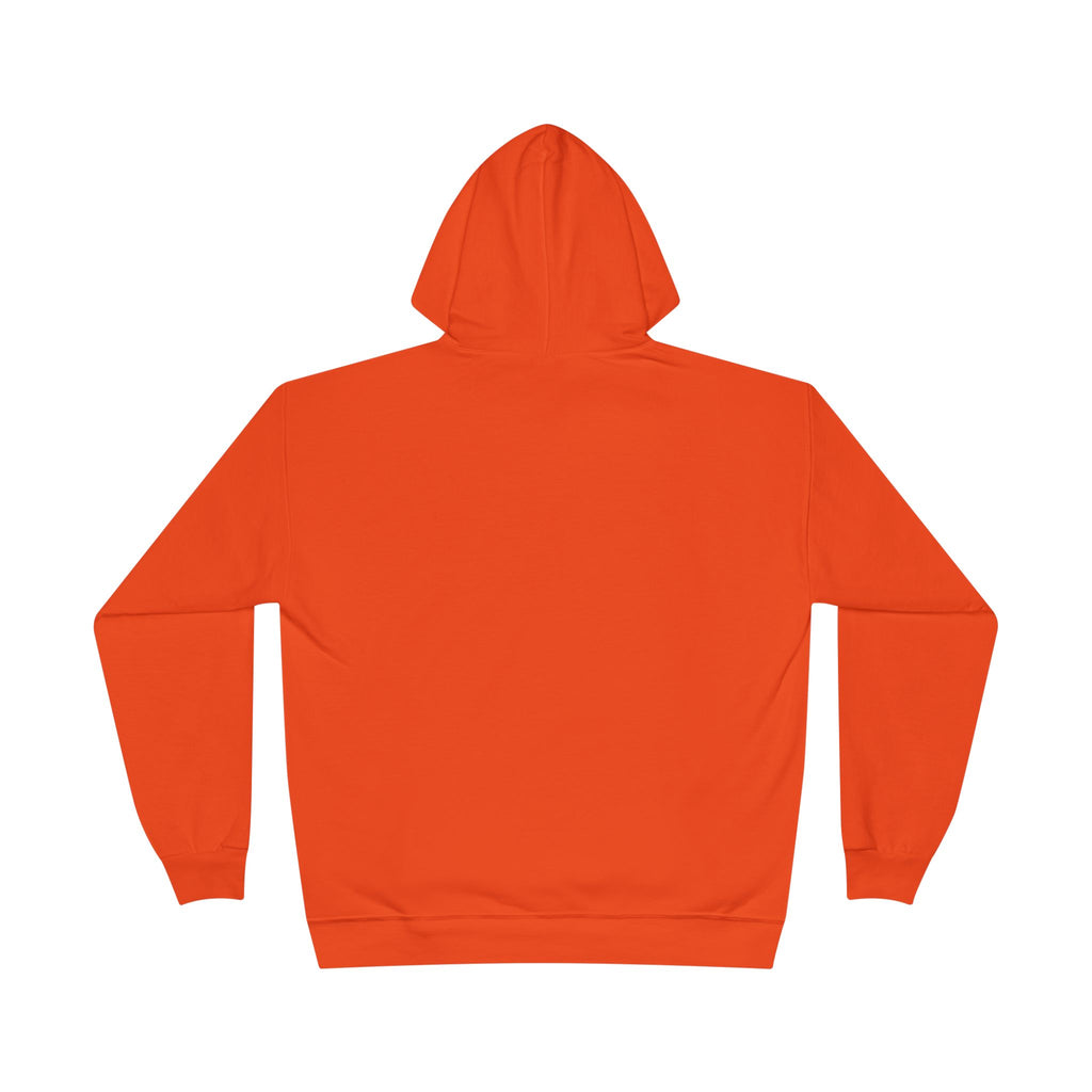 I Am Not A Reptilian Shape Shifter Hoodie – Statement Graphic Pullover