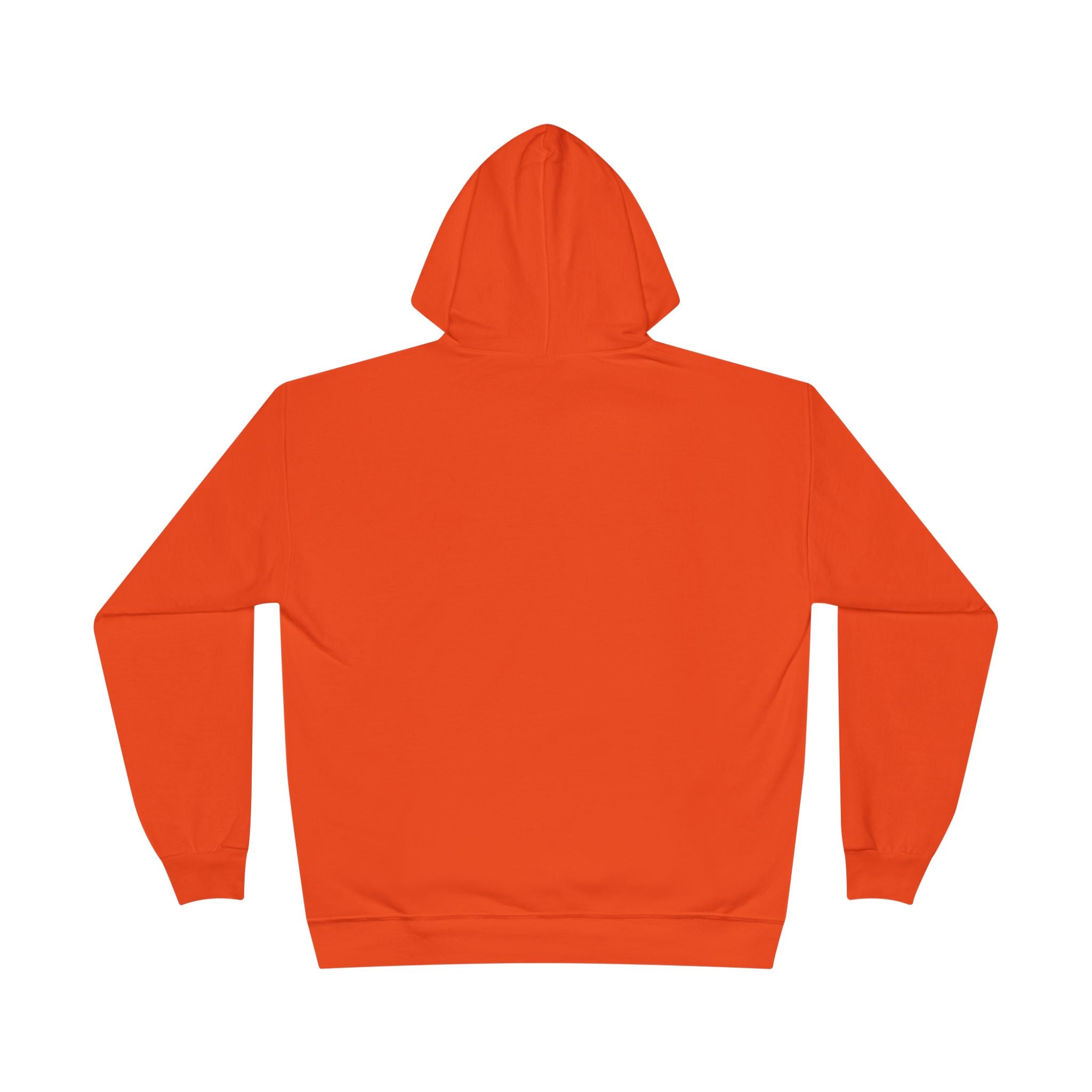 I Am Not A Reptilian Shape Shifter Hoodie – Statement Graphic Pullover