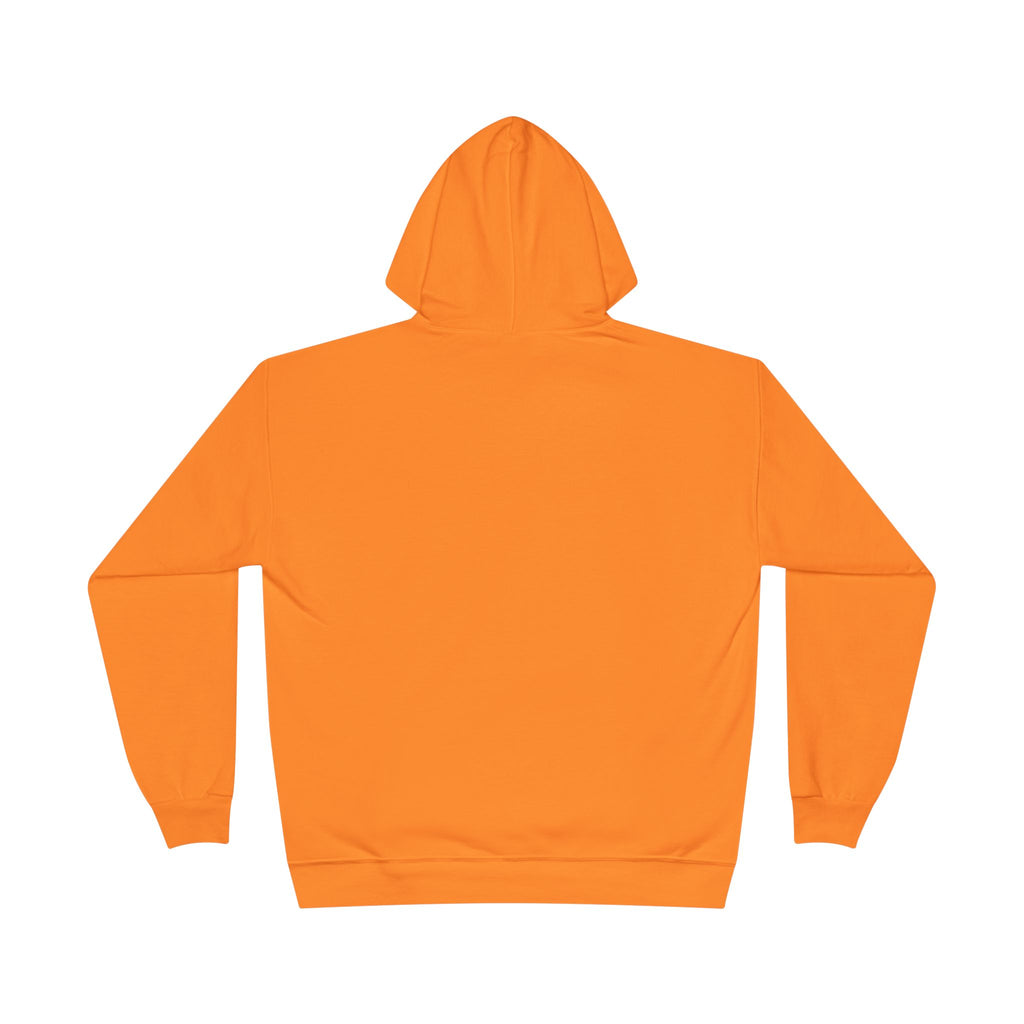 I Am Not A Reptilian Shape Shifter Hoodie – Statement Graphic Pullover