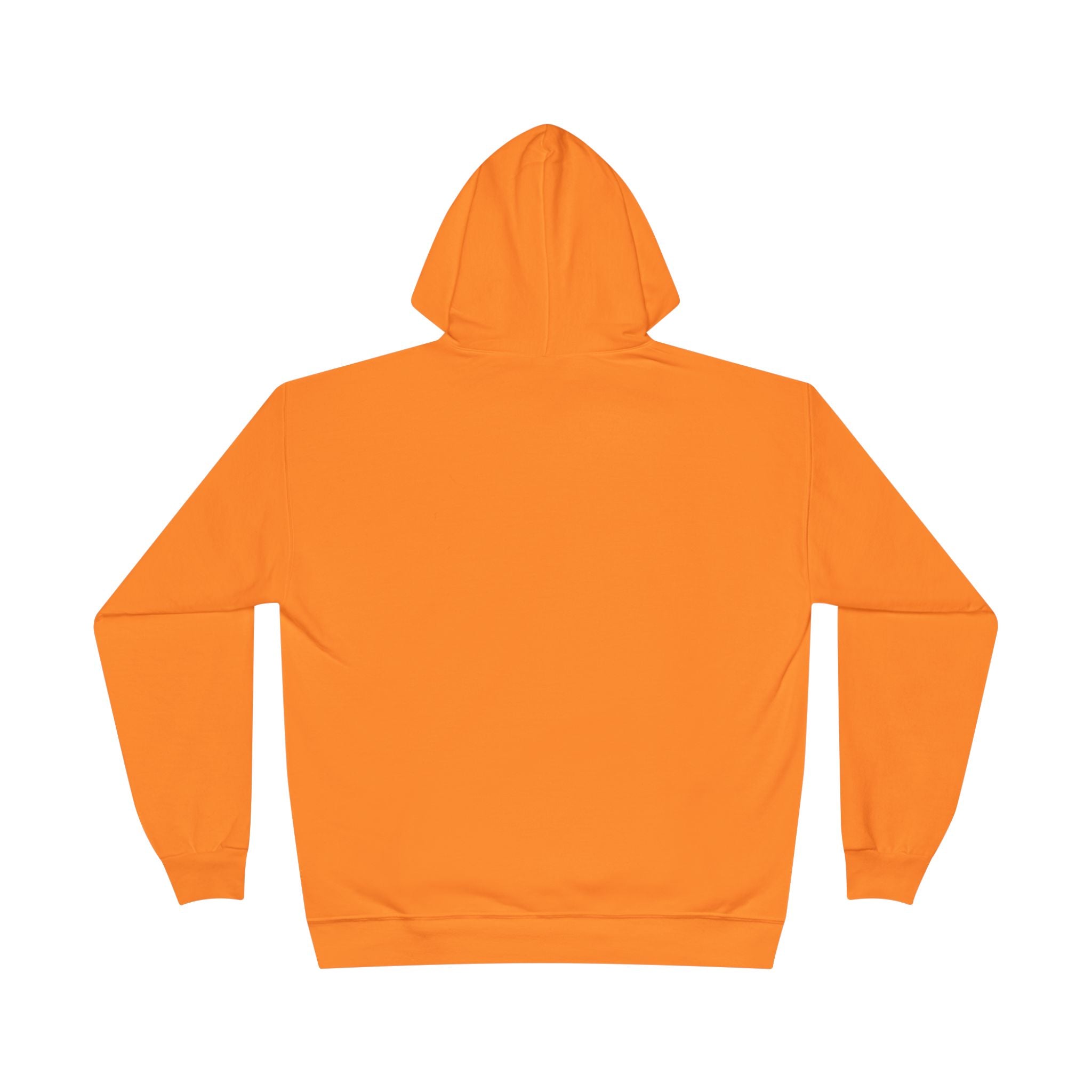 I Am Not A Reptilian Shape Shifter Hoodie – Statement Graphic Pullover