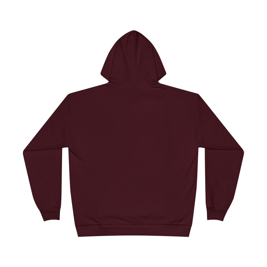 I Am Not A Reptilian Shape Shifter Hoodie – Statement Graphic Pullover