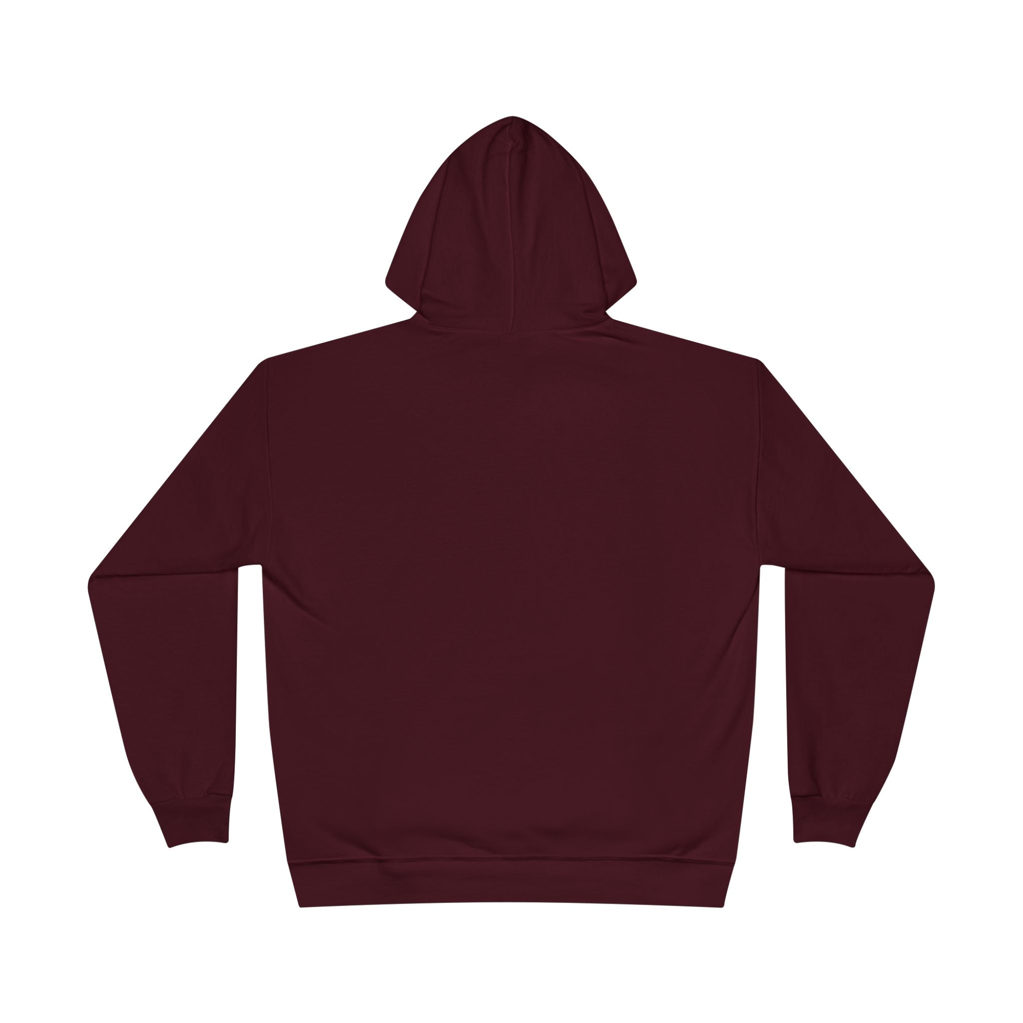 I Am Not A Reptilian Shape Shifter Hoodie – Statement Graphic Pullover