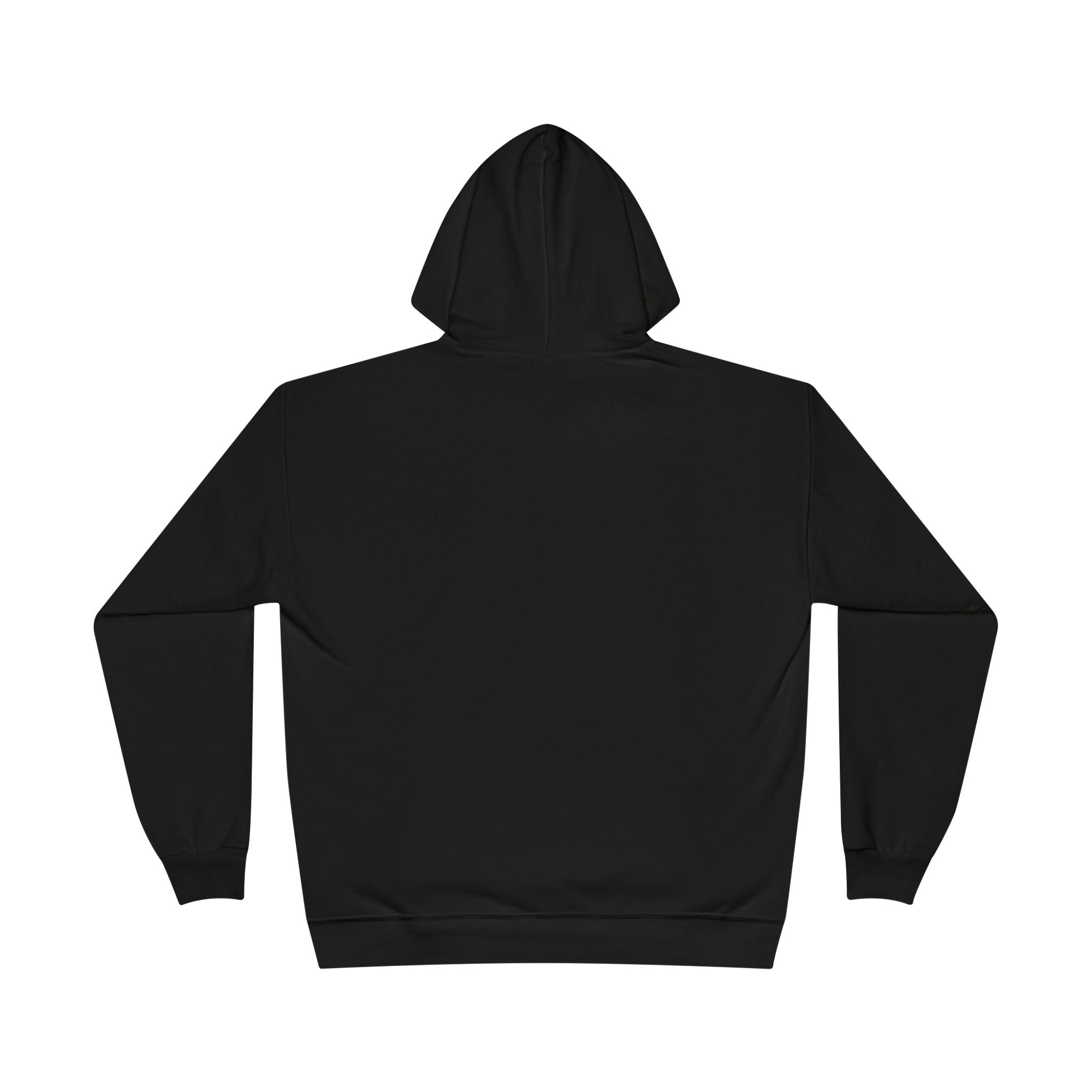 I Am Not A Reptilian Shape Shifter Hoodie – Statement Graphic Pullover