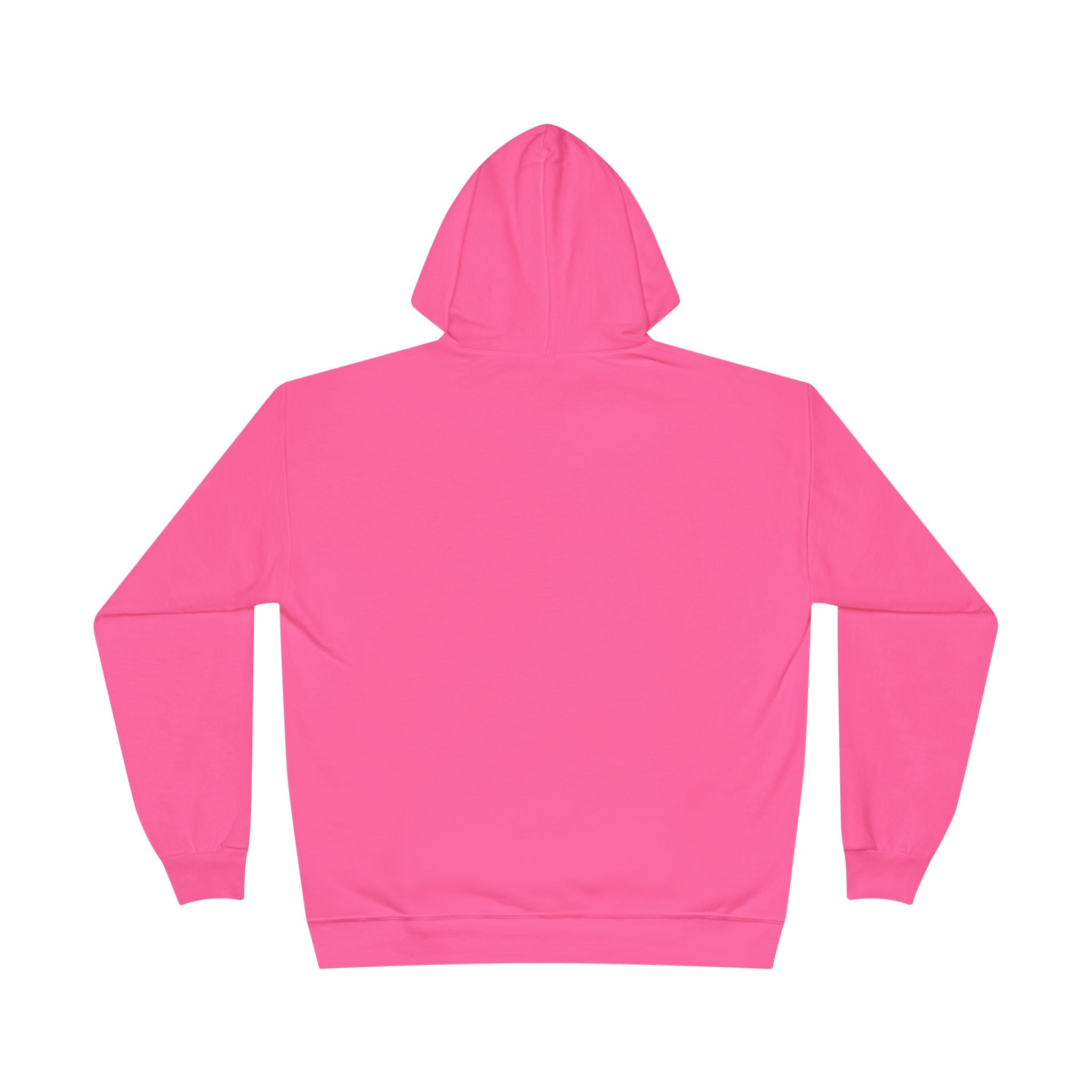I Am Not A Reptilian Shape Shifter Hoodie – Statement Graphic Pullover