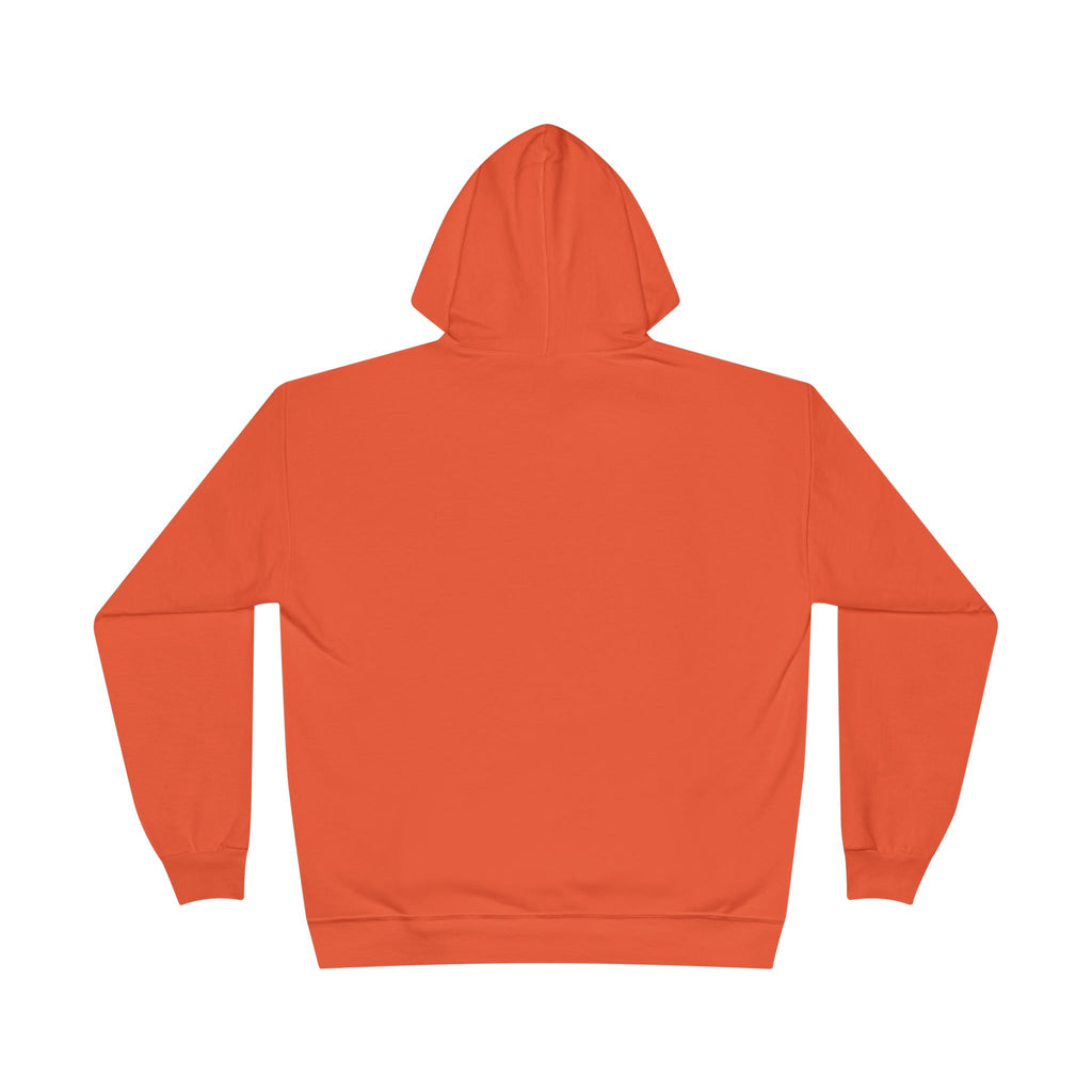 I Am Not A Reptilian Shape Shifter Hoodie – Statement Graphic Pullover