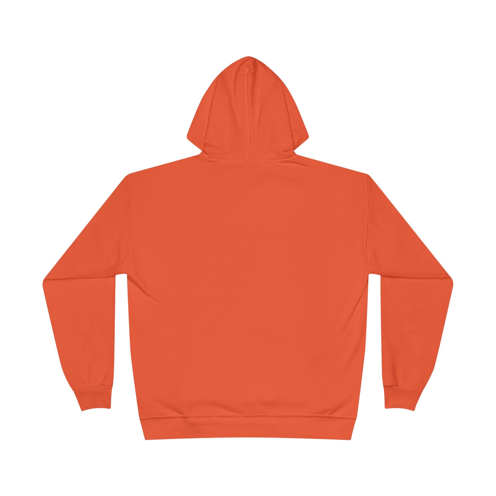 I Am Not A Reptilian Shape Shifter Hoodie – Statement Graphic Pullover