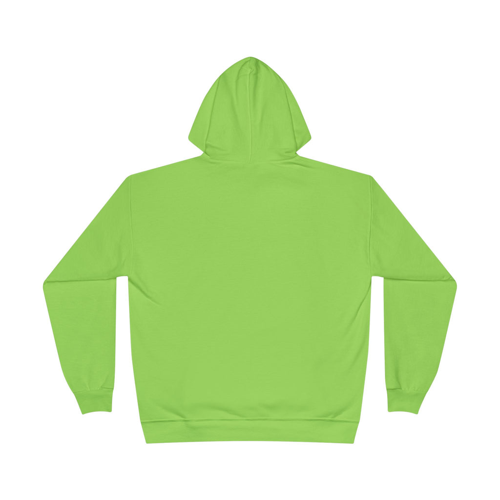 I Am Not A Reptilian Shape Shifter Hoodie – Statement Graphic Pullover