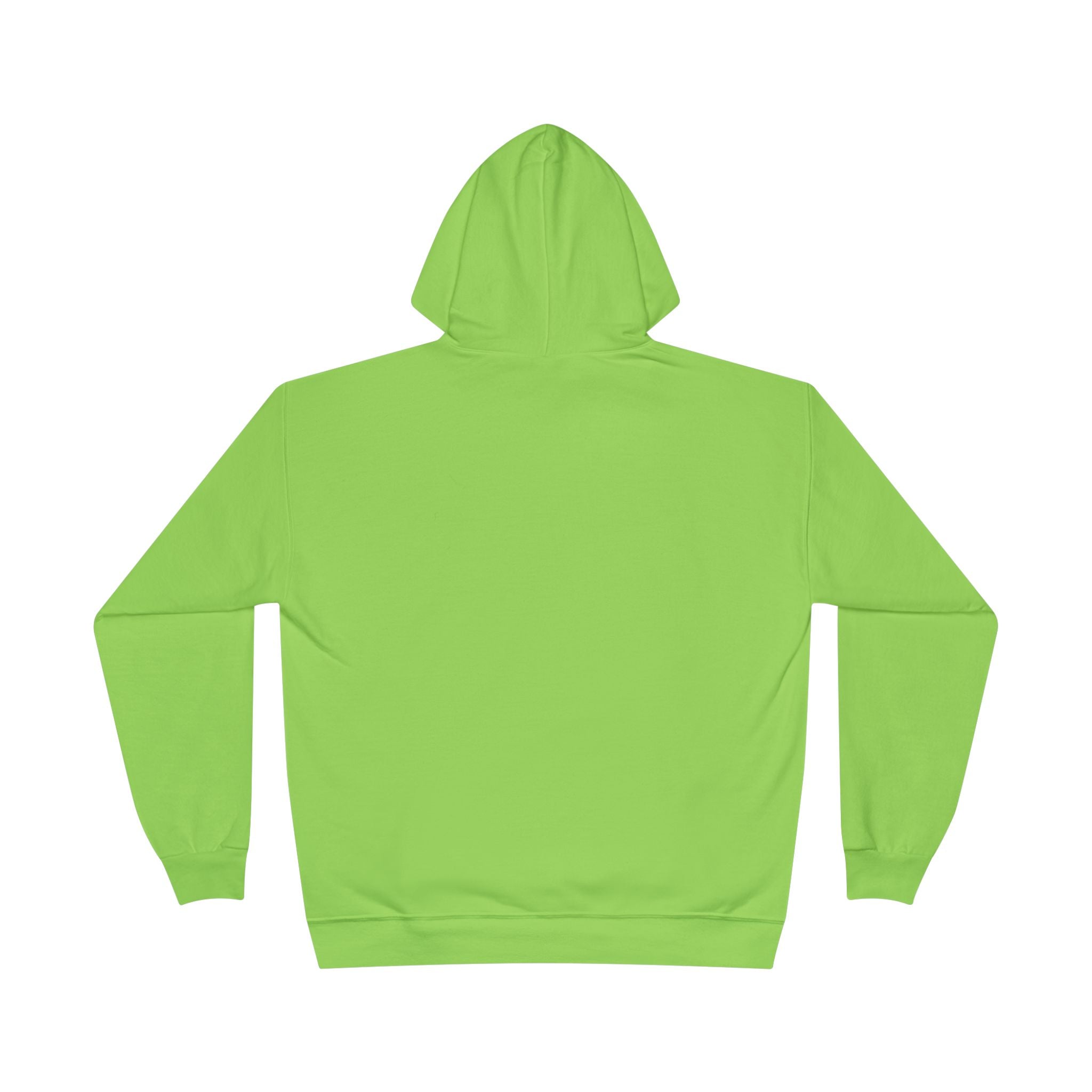 I Am Not A Reptilian Shape Shifter Hoodie – Statement Graphic Pullover