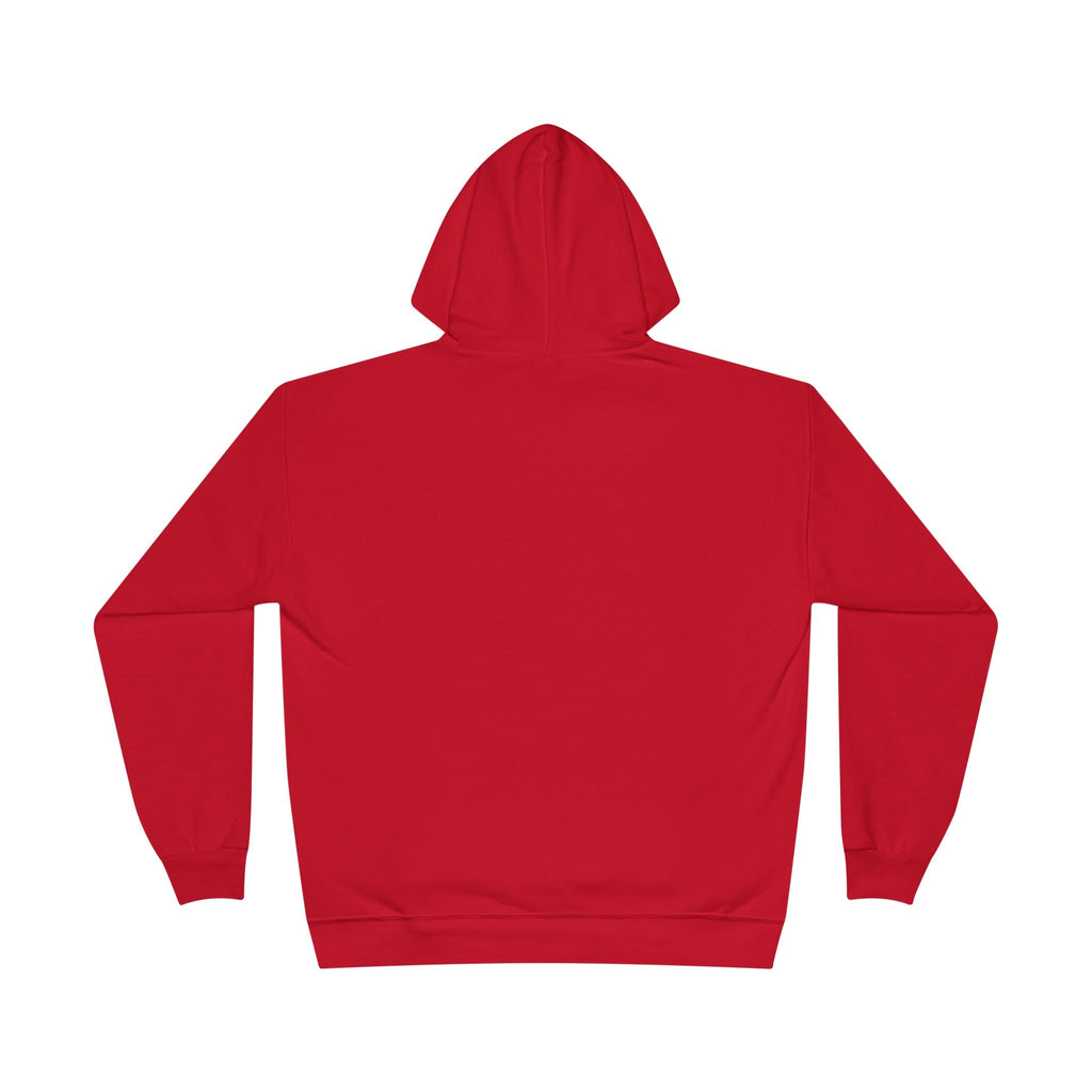 I Am Not A Reptilian Shape Shifter Hoodie – Statement Graphic Pullover