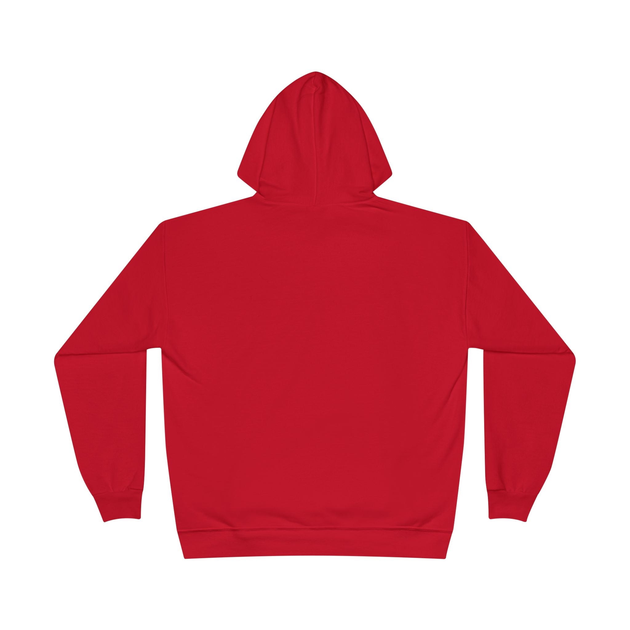I Am Not A Reptilian Shape Shifter Hoodie – Statement Graphic Pullover