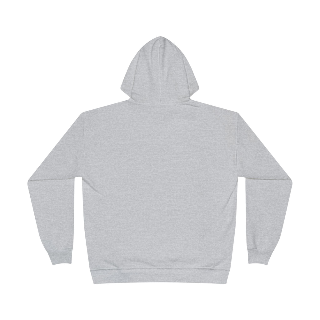 I Am Not A Reptilian Shape Shifter Hoodie – Statement Graphic Pullover