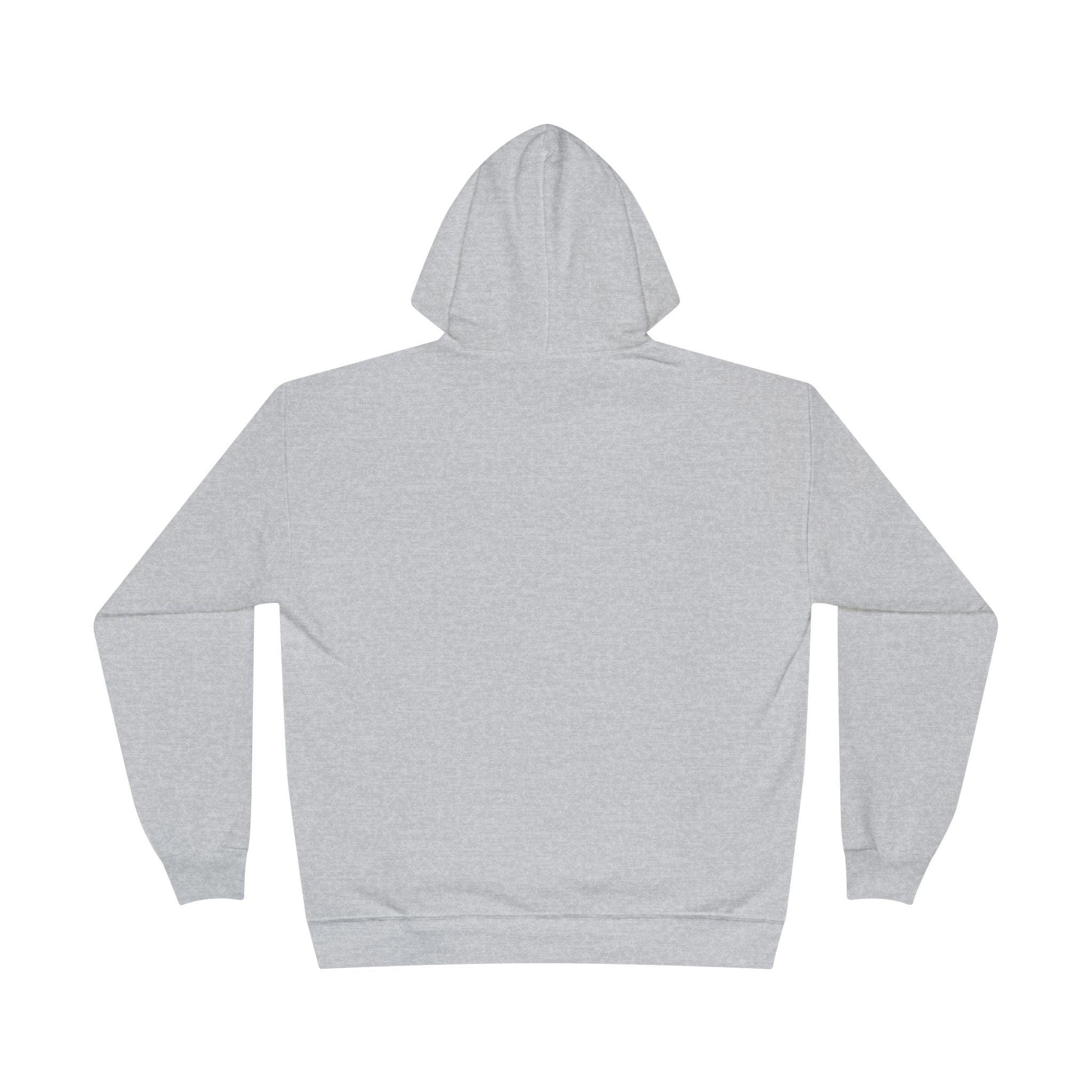 I Am Not A Reptilian Shape Shifter Hoodie – Statement Graphic Pullover