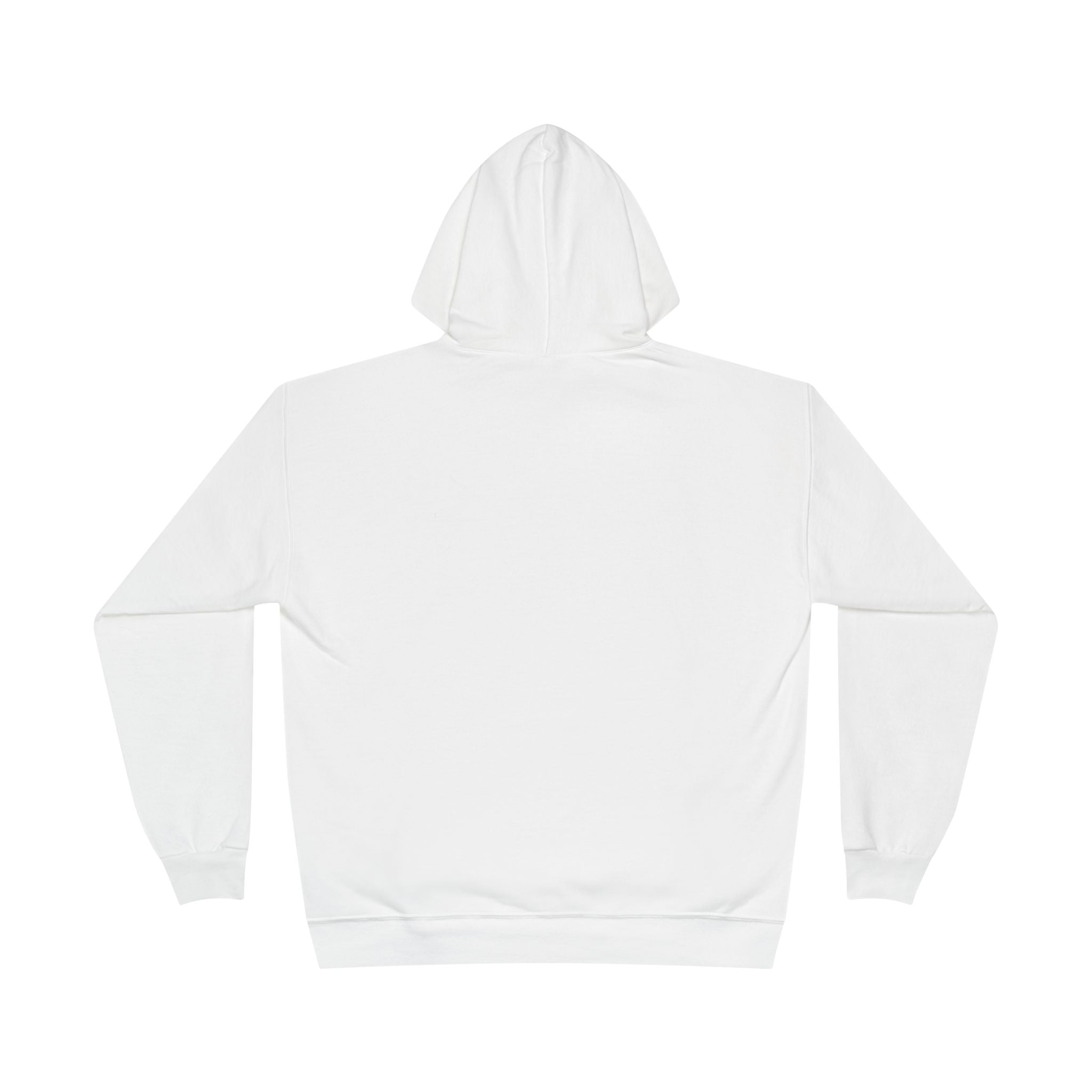 I Am Not A Reptilian Shape Shifter Hoodie – Statement Graphic Pullover