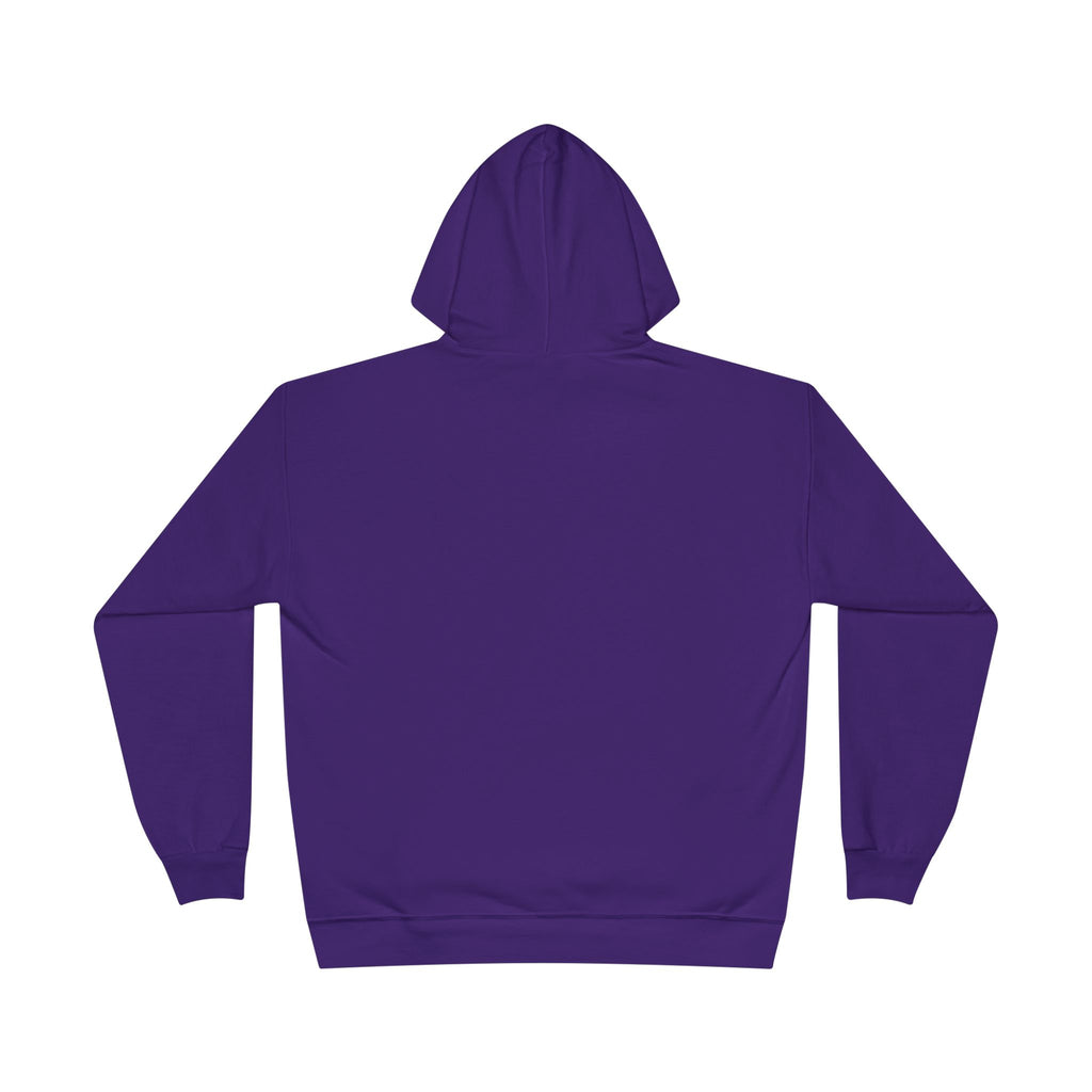 I Am Not A Reptilian Shape Shifter Hoodie – Statement Graphic Pullover