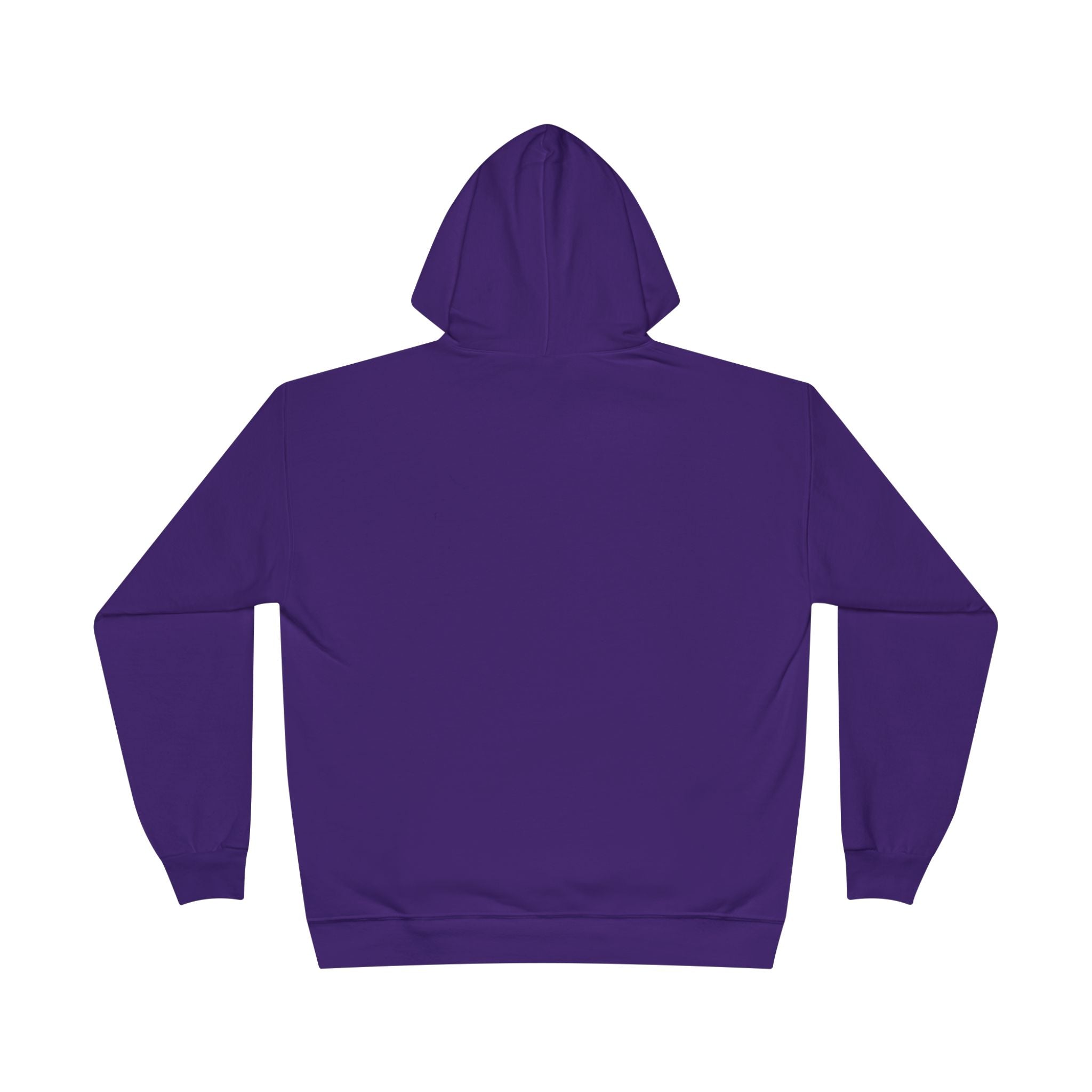 I Am Not A Reptilian Shape Shifter Hoodie – Statement Graphic Pullover